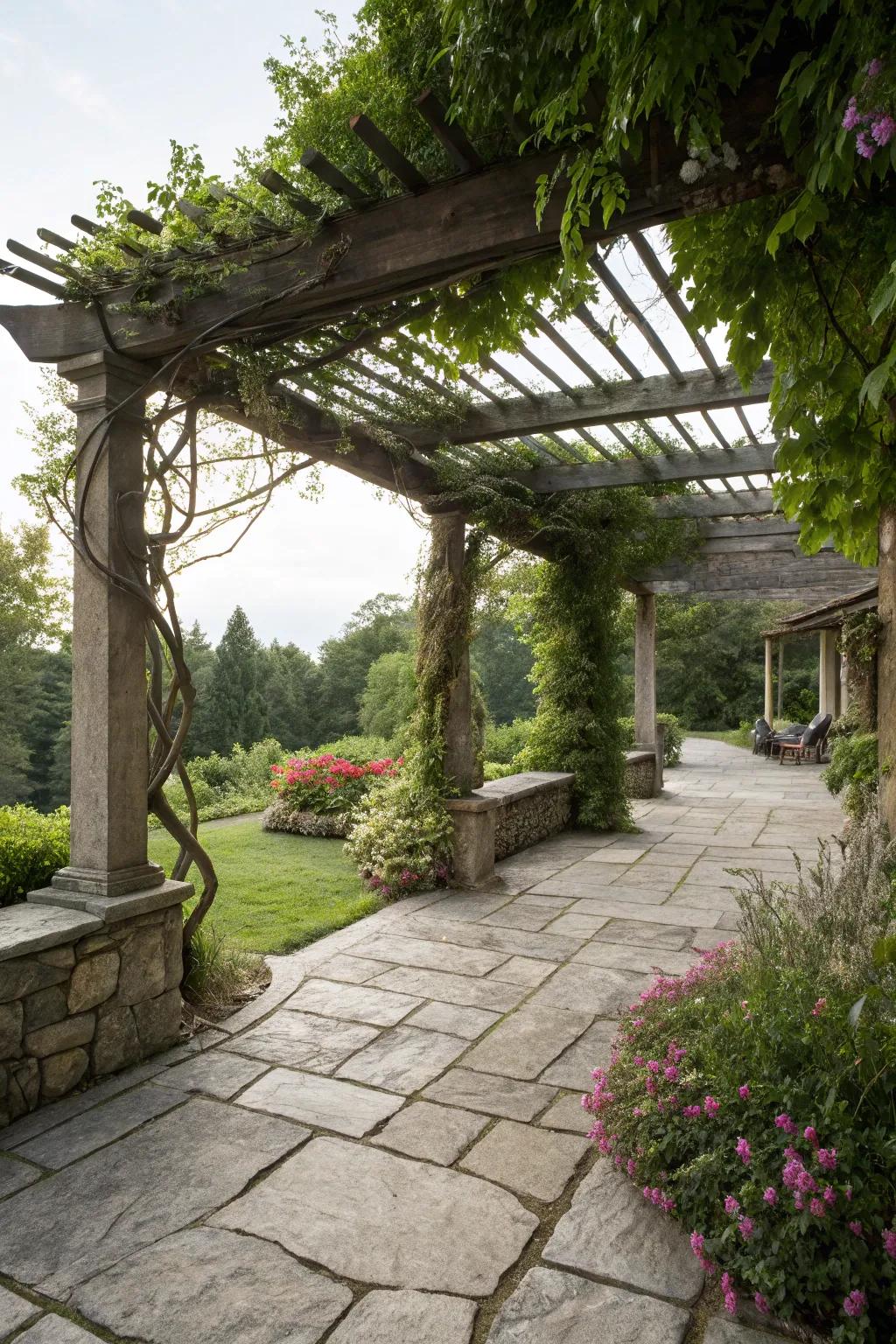 A stone patio enhanced by a pergola with vibrant greenery.