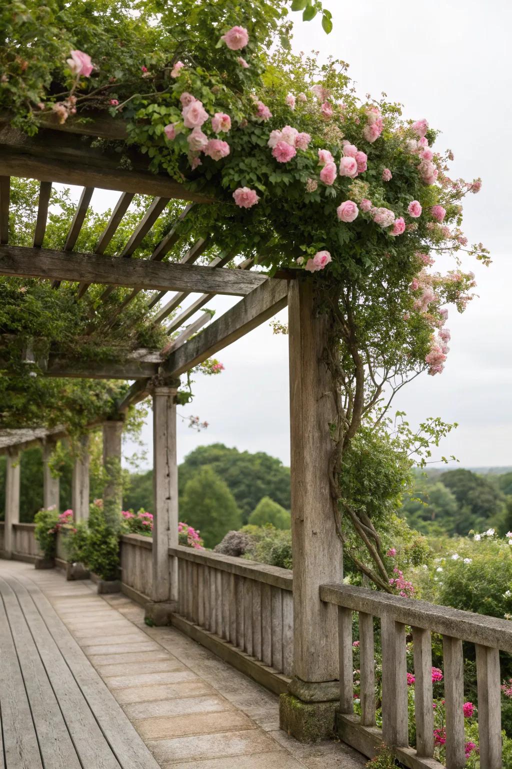 An overhead shade provides both sun protection and elegance.