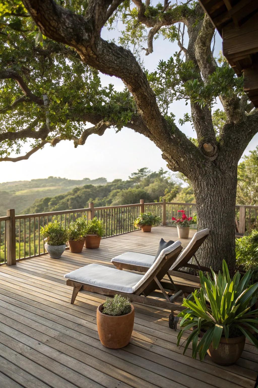 A deck encircling the tree elevates your outdoor experience.