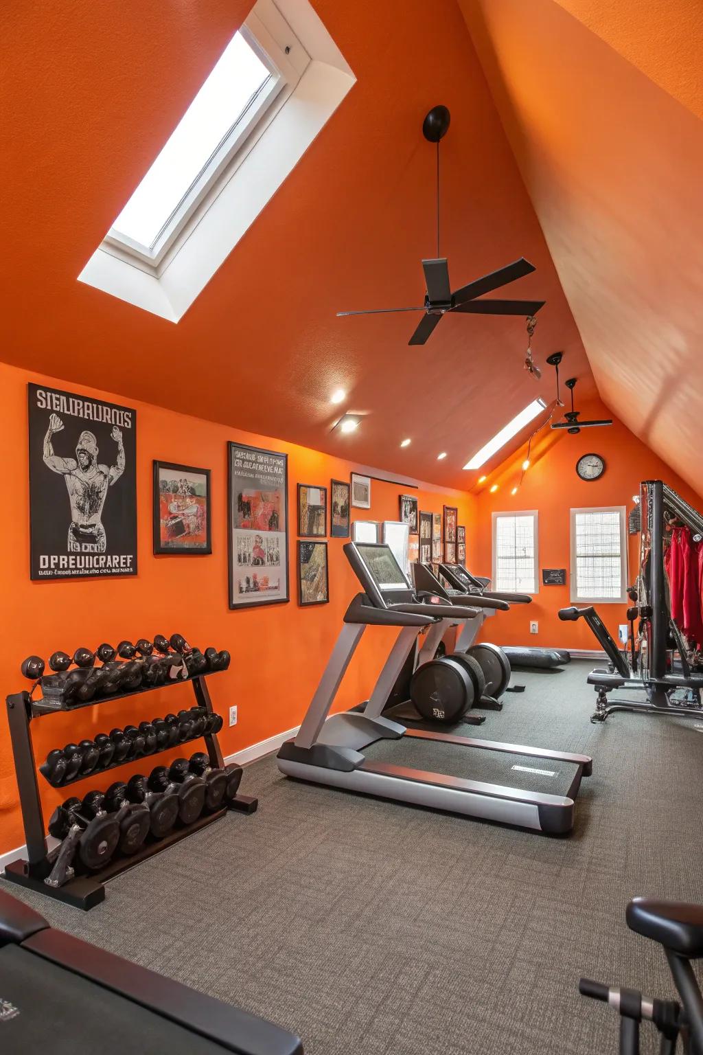 Lively colors stimulate and uplift the environment for your workouts.