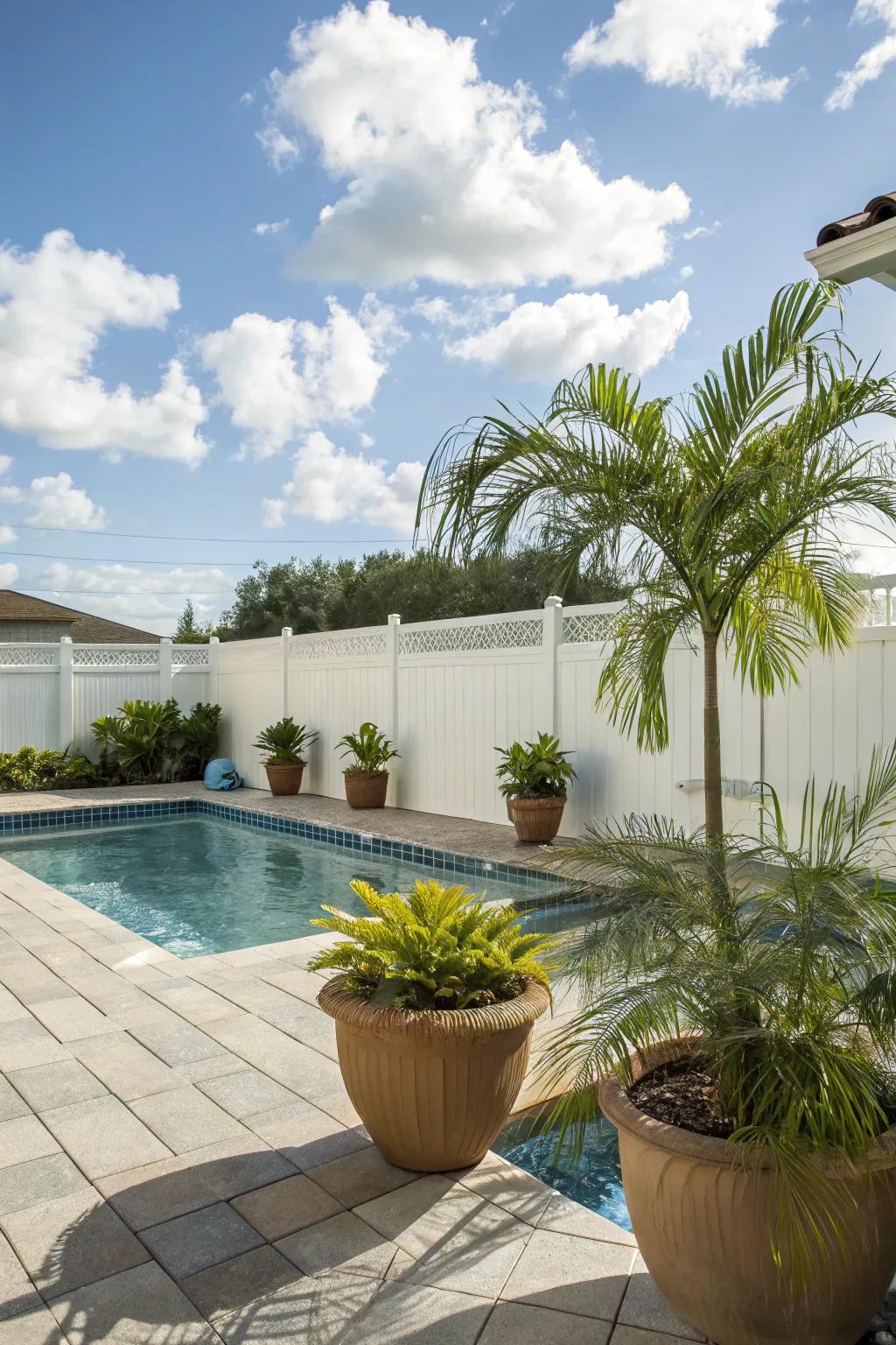 Potted palms bring flexibility and lushness to any poolside space.