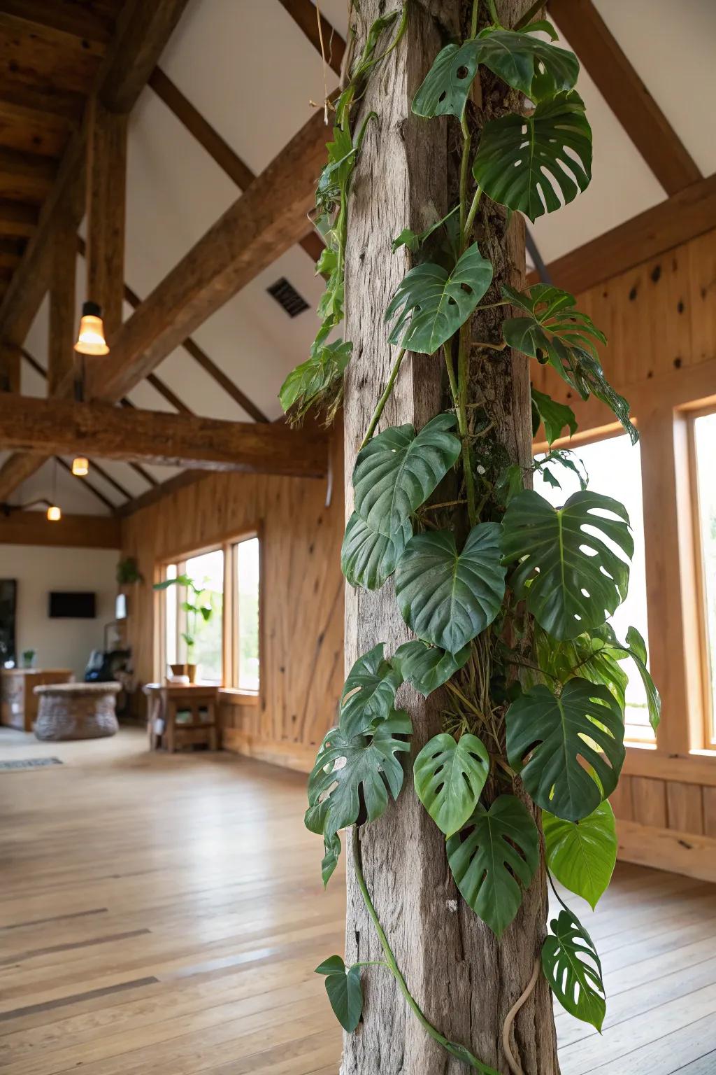 Unite rustic charm with organic beauty