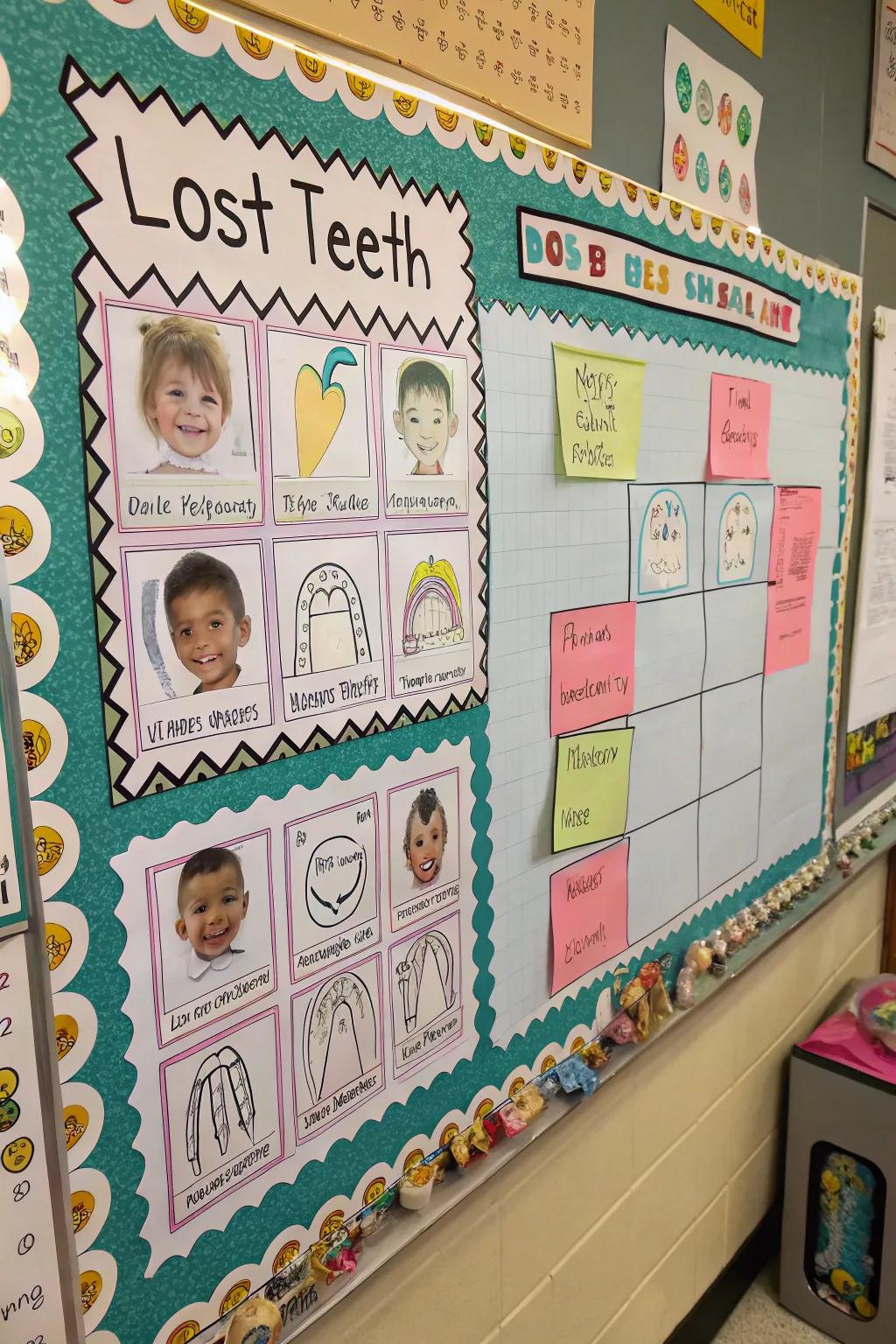 A dynamic shed tooth tracker where students can add decals for each tooth.