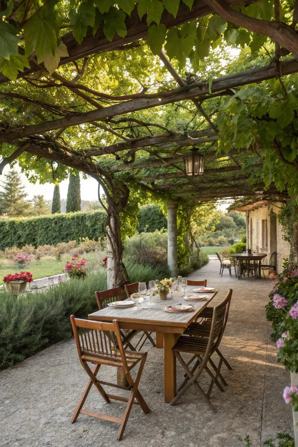 A dining space ensconced beneath an enchanting arbor adorned with greenery.