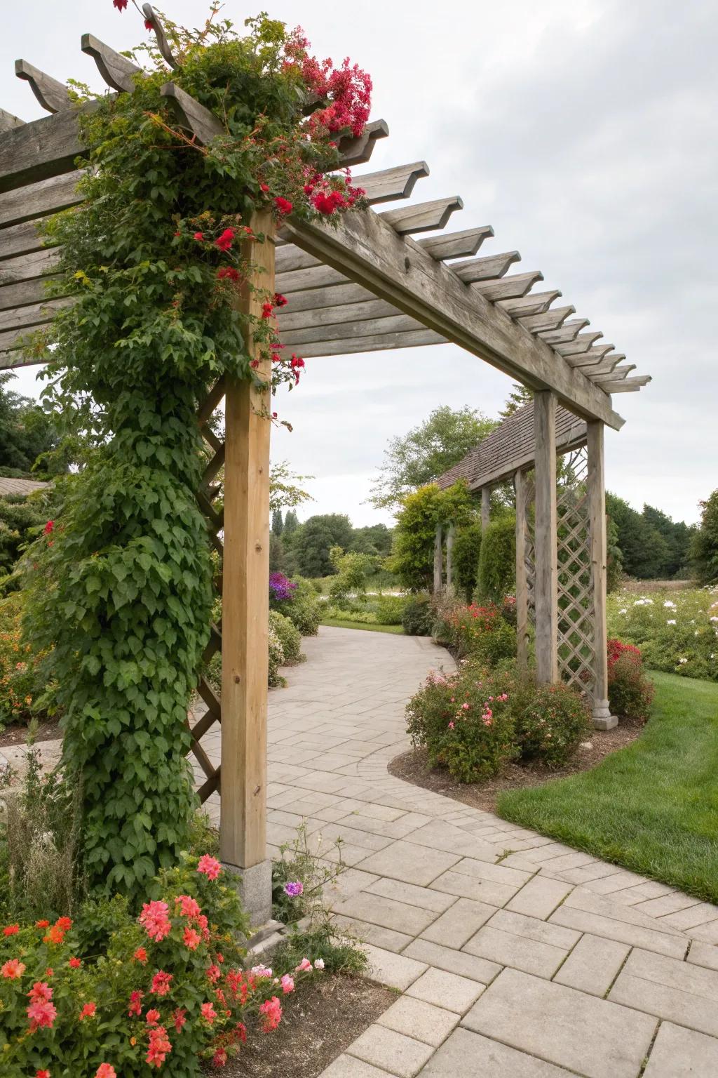 The trellis system creates a vibrant, dynamic architecture.