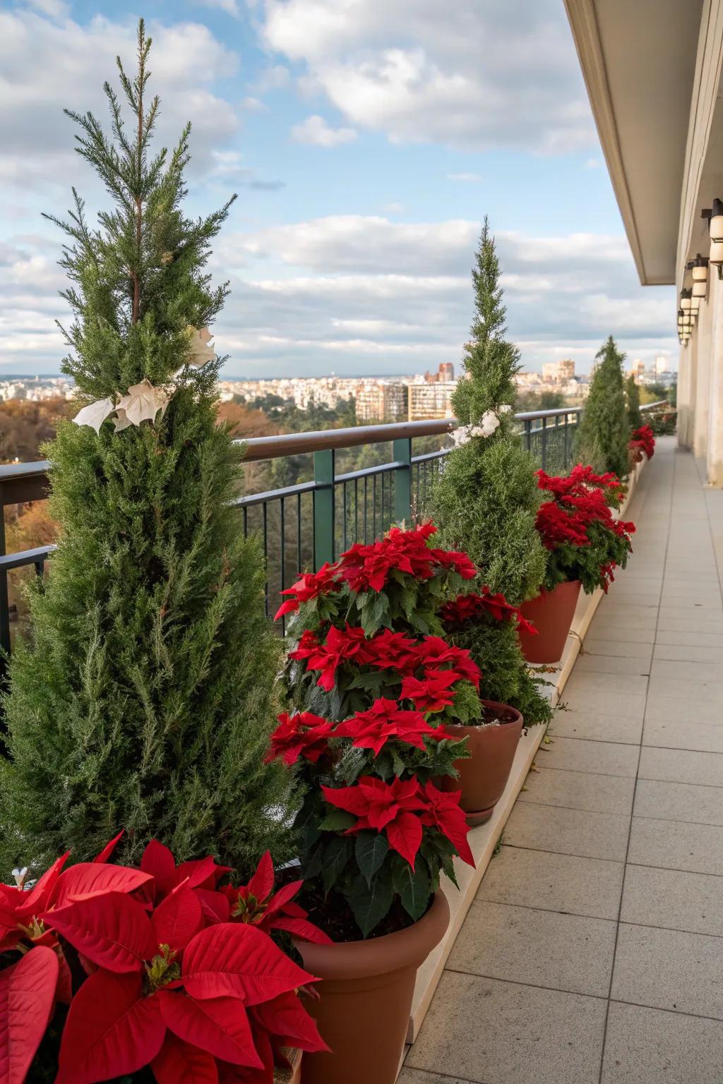 Poinsettias bring vibrant seasonal color to this balcony.