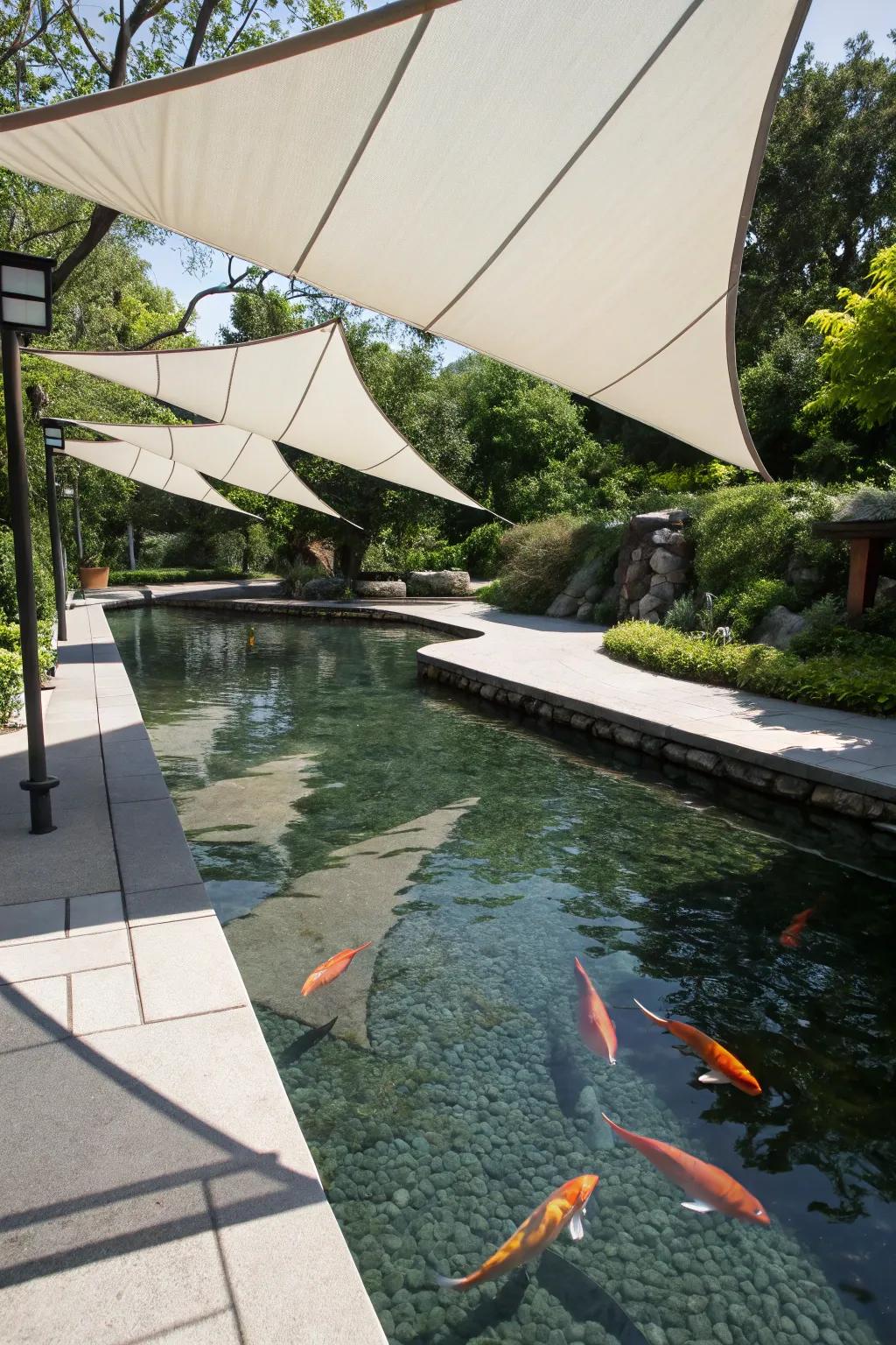 A koi pond showcasing shade sails that impart a streamlined, modern vibe.