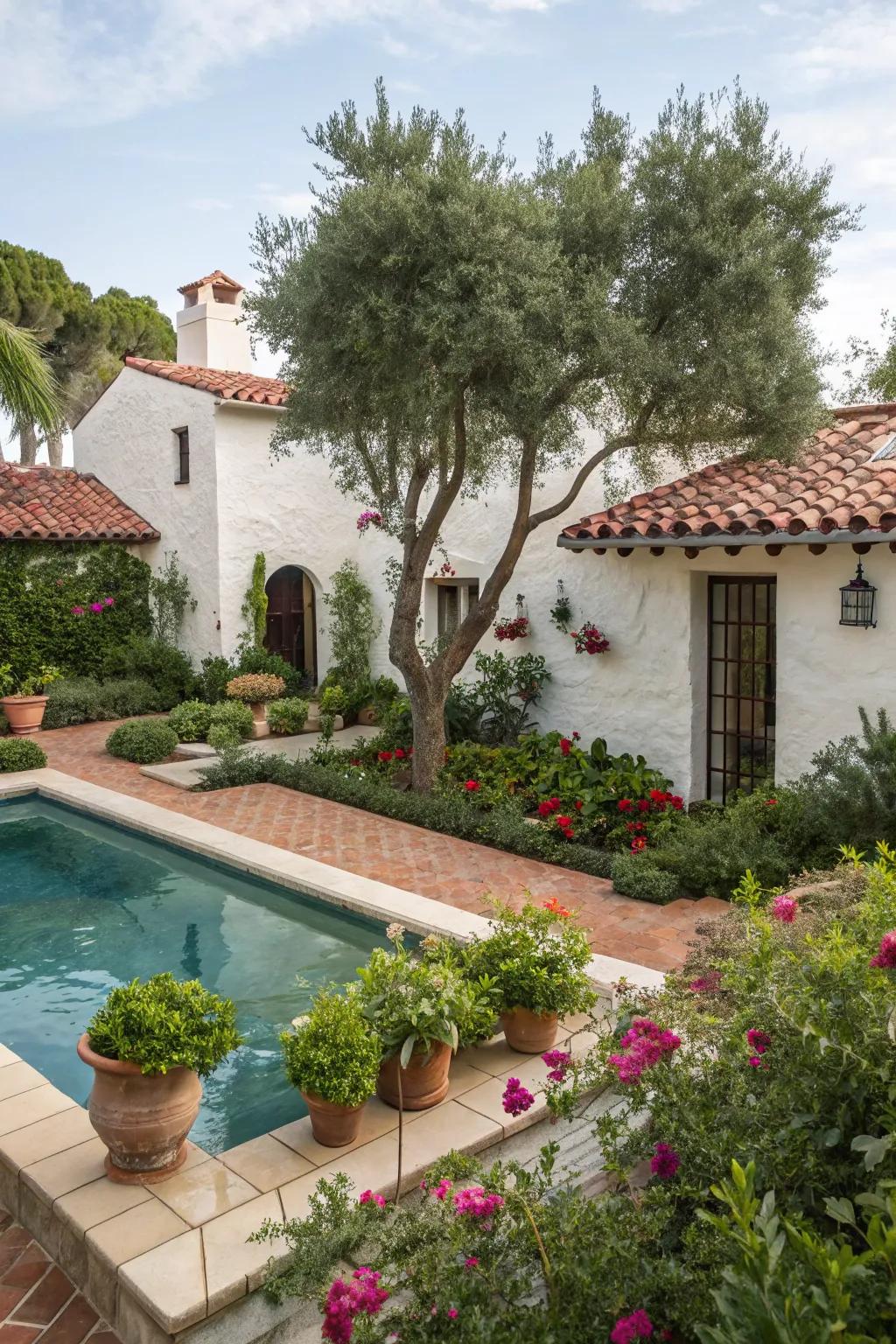 Lush Mediterranean plants create a tropical escape in this Spanish-style backyard.