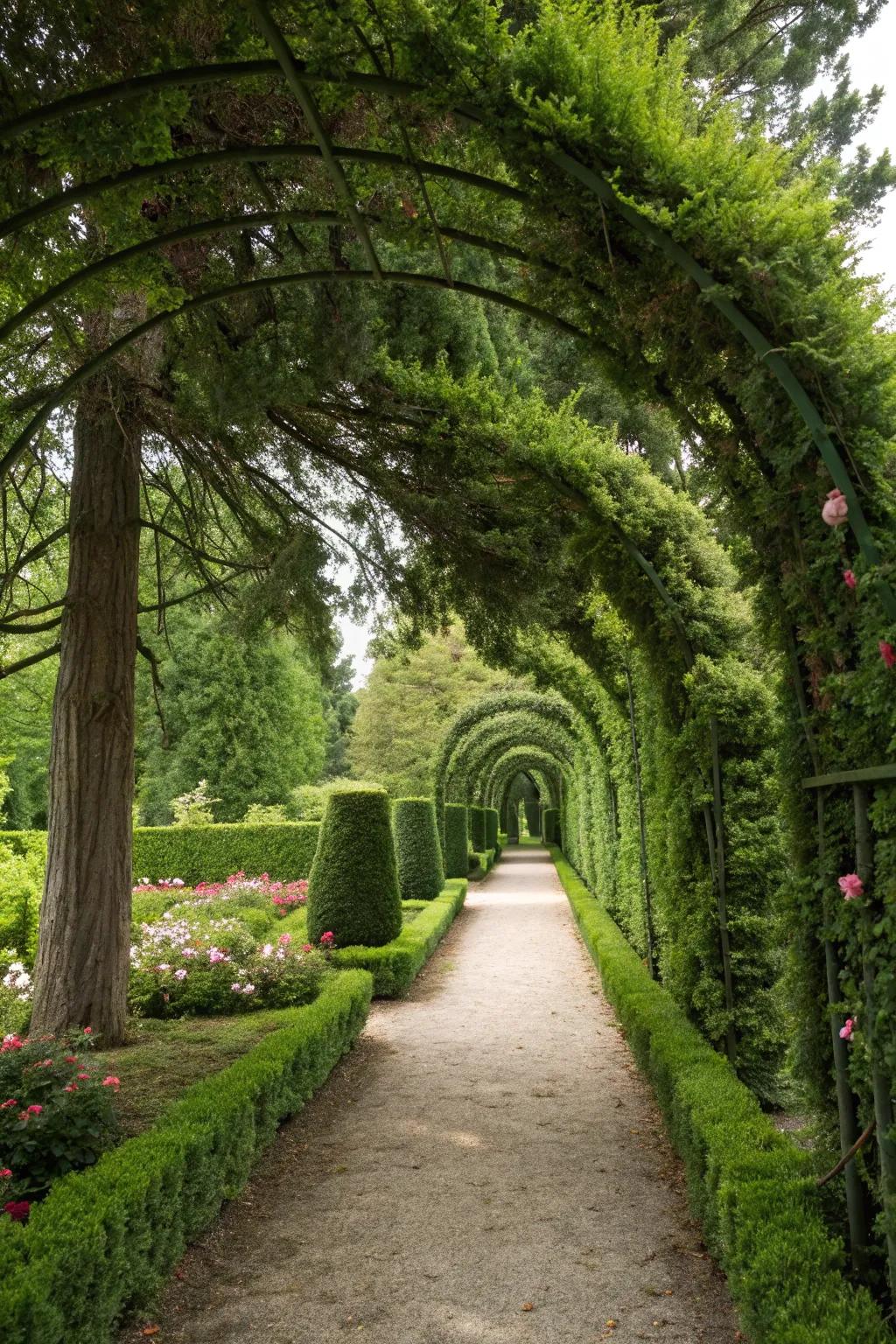 Greet guests with a breathtaking green gateway of Arborvitae.