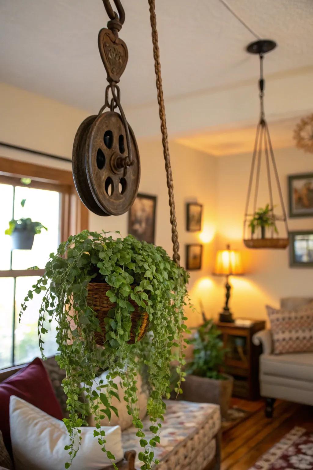 Use a mechanism plant hanger to raise the level of your plants.
