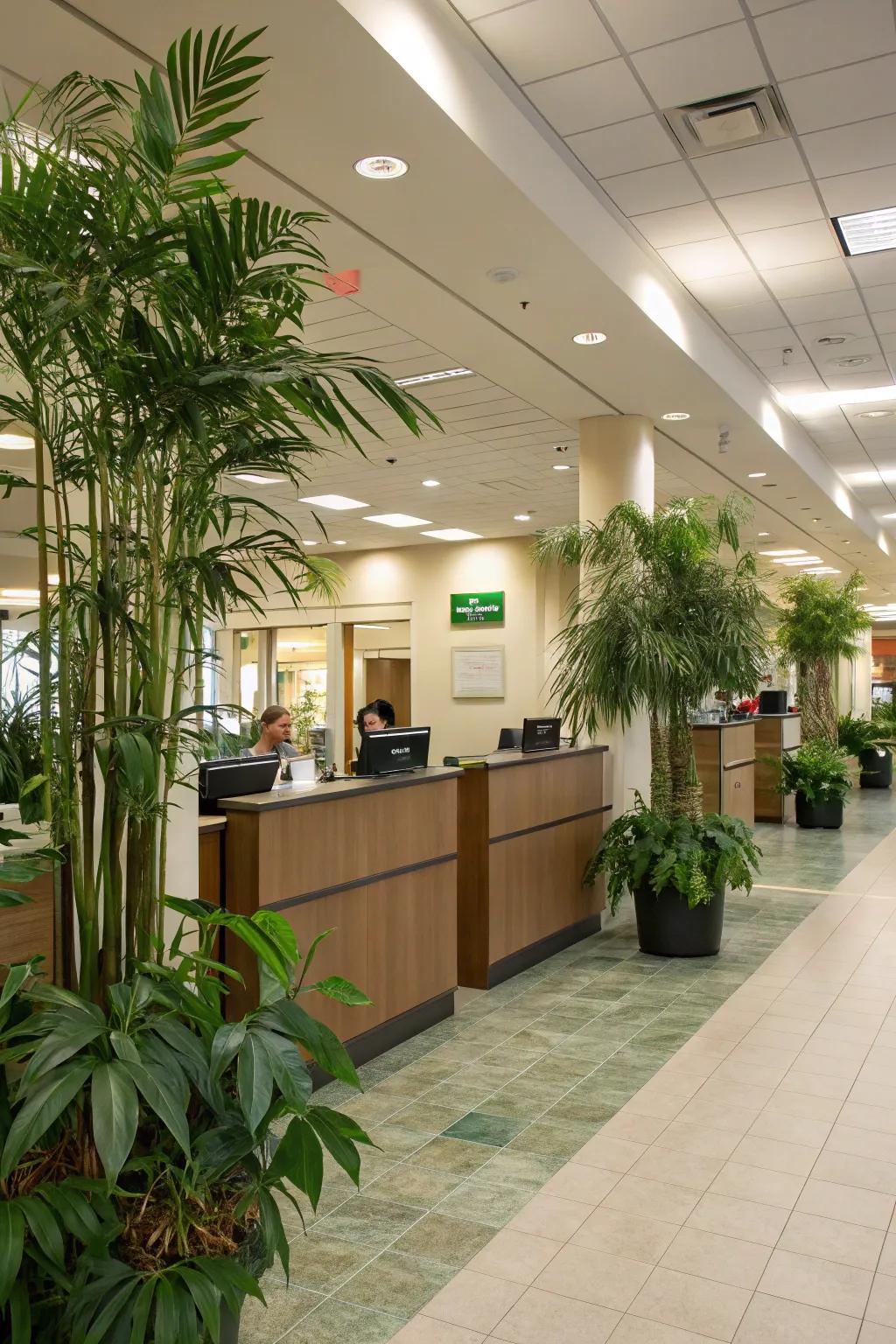 Houseplants add life and improve the bank's ambiance.