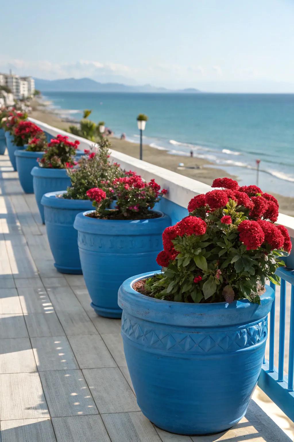 Azure containers give a coastal feel to the warmth of celosia.