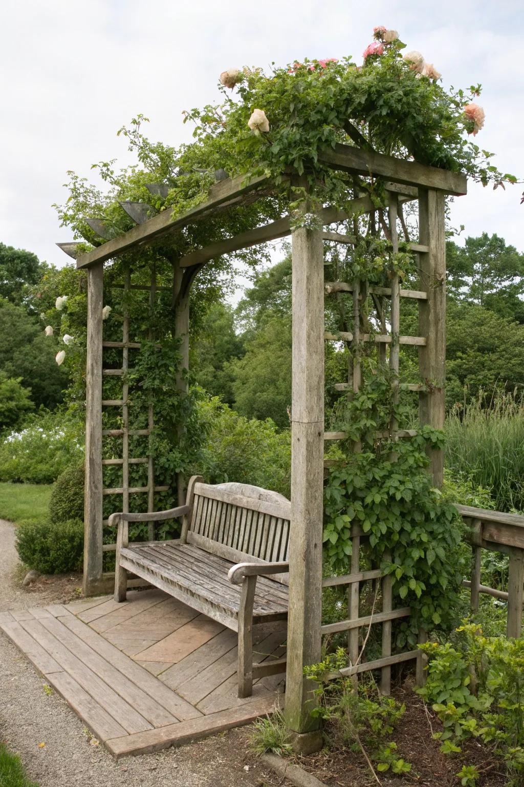 A trellis presenting a snug integrated seating sector.