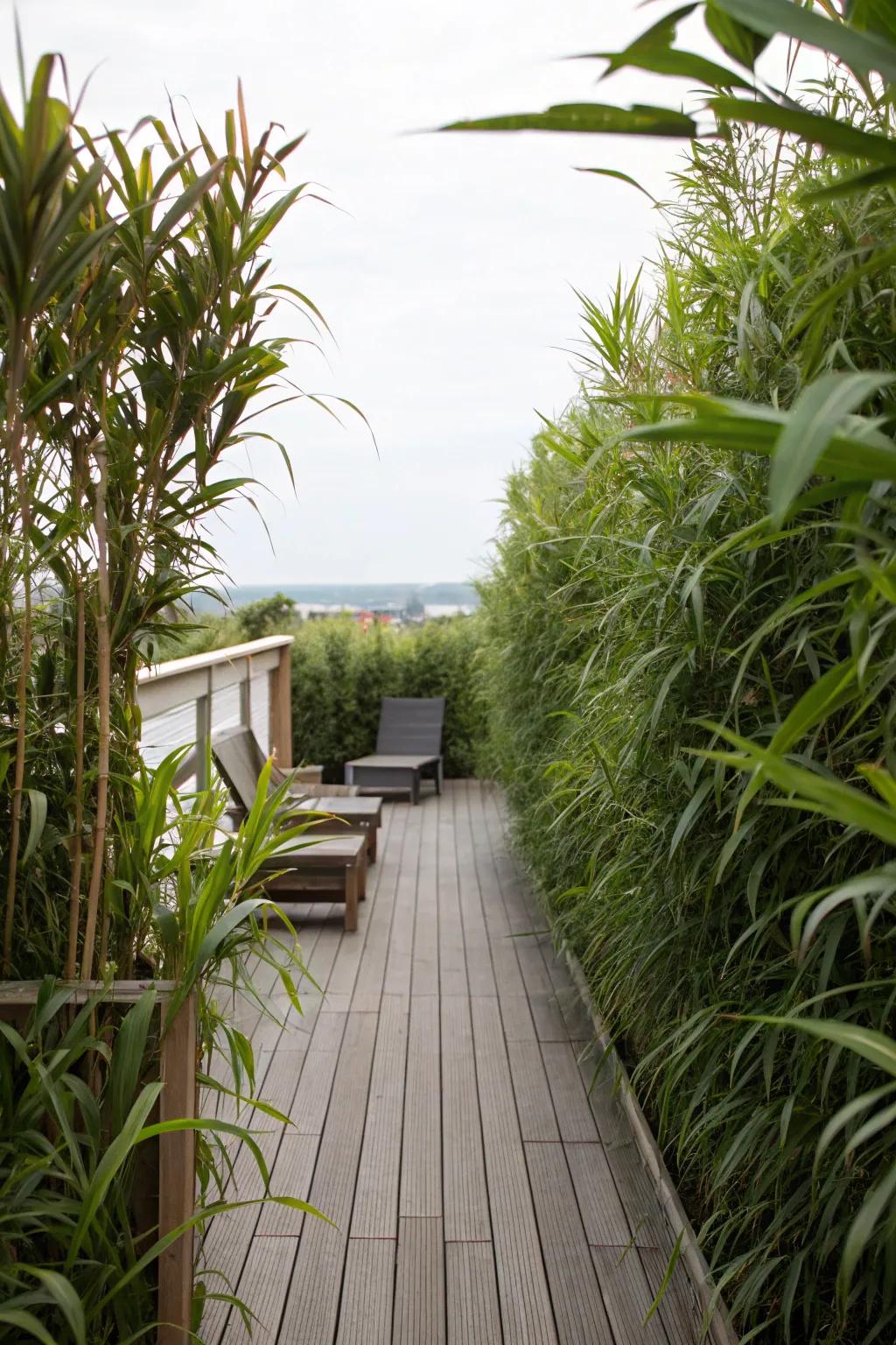 Natural barriers offer privacy without sacrificing style.