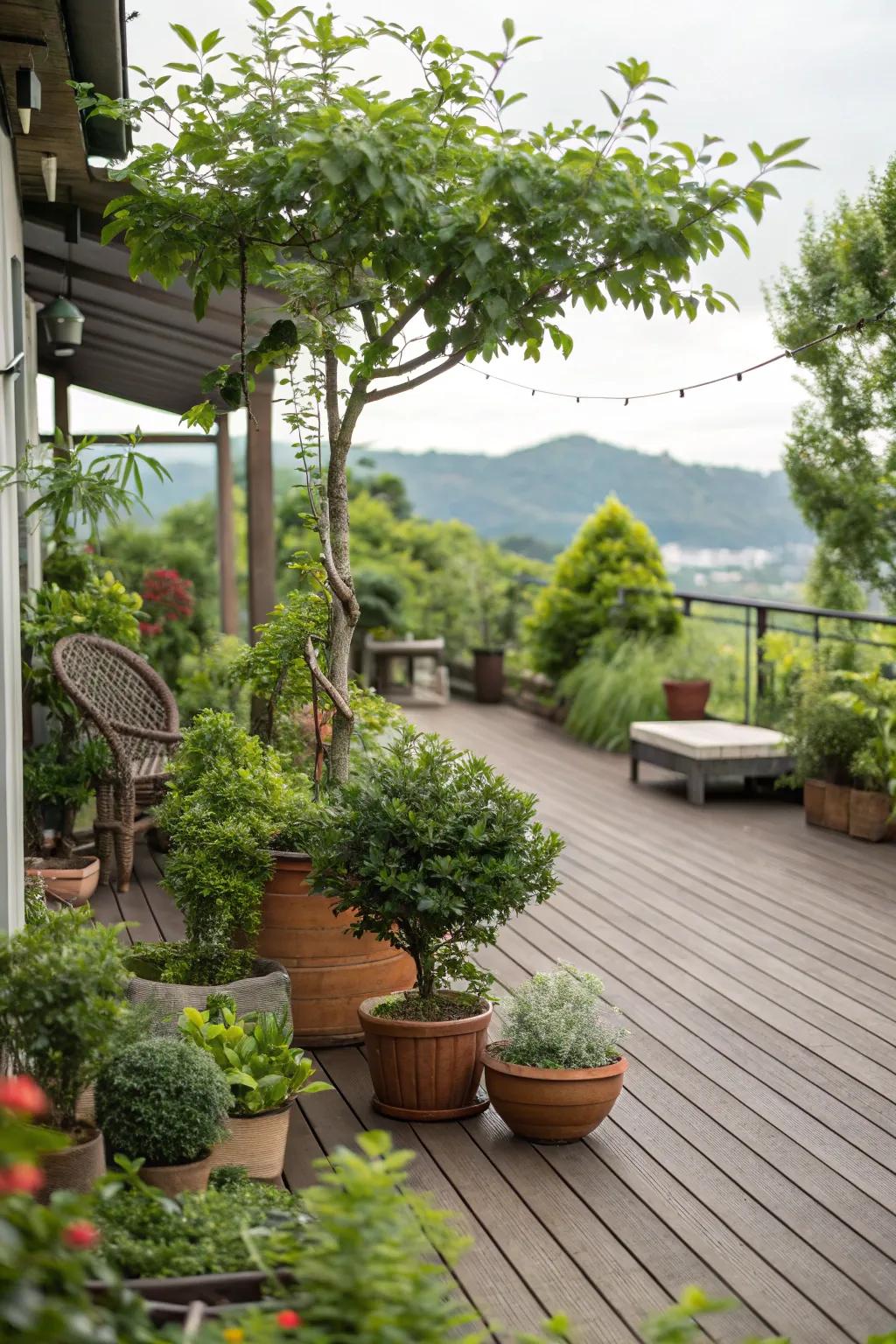 Earth tones enrich your deck with a rejuvenating vibe.