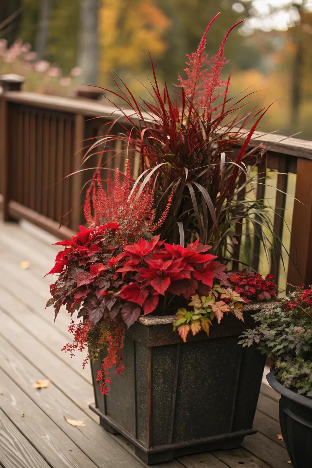 Single-color containers provide a modern autumn aesthetic.