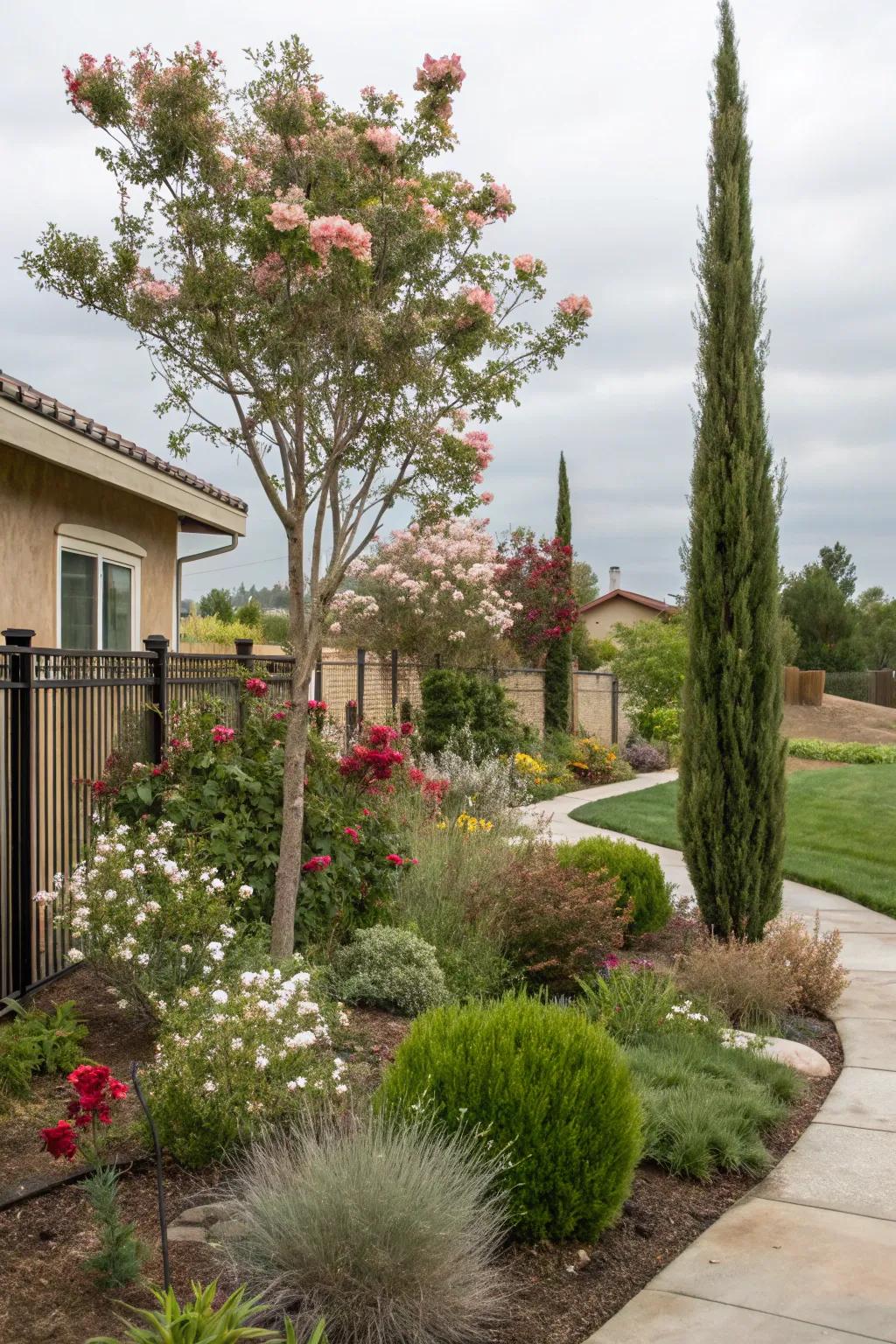 Decorative trees and bushes contribute structure and interest to water-wise gardens.