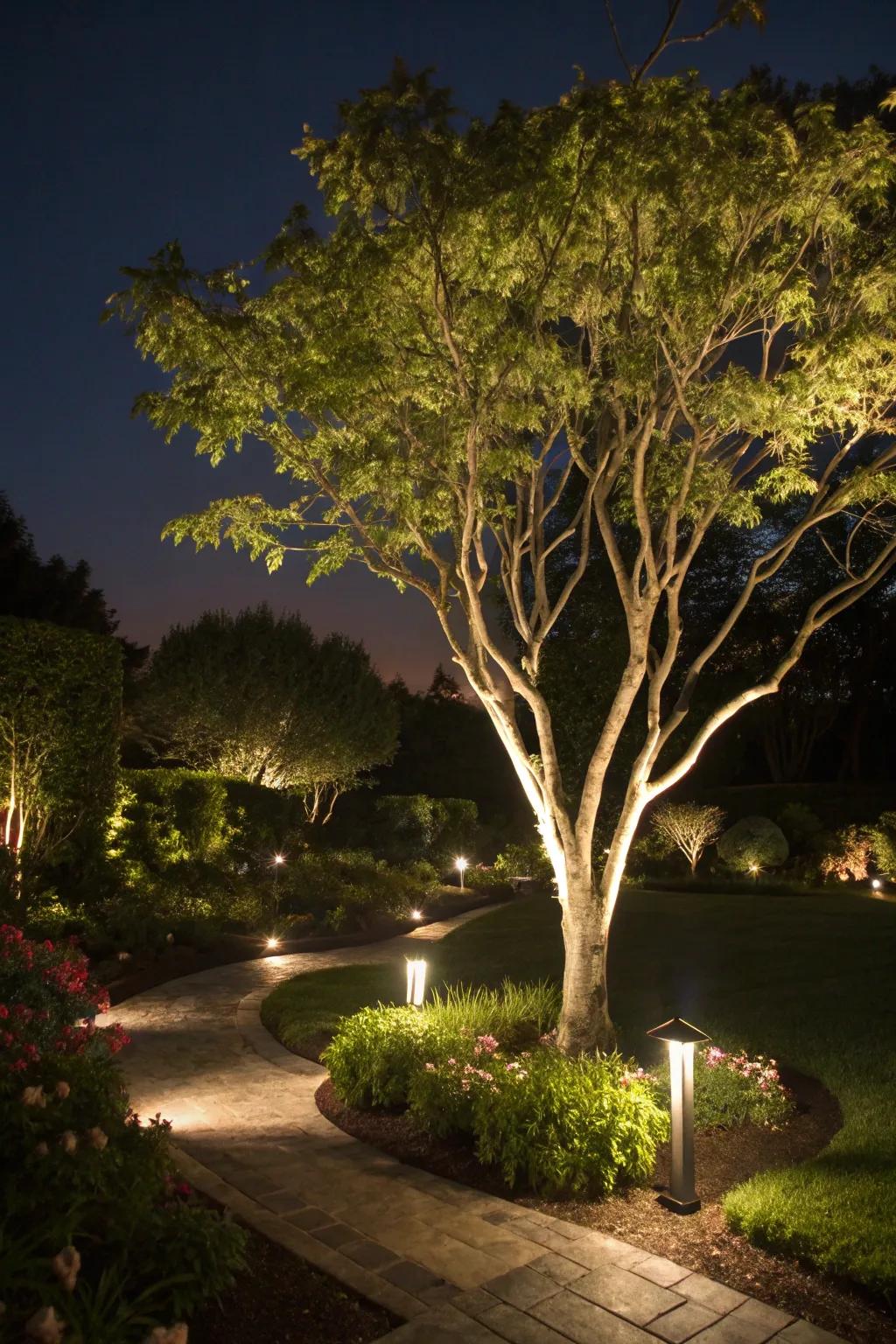 Spotlight your garden's allure utilizing sun lights.