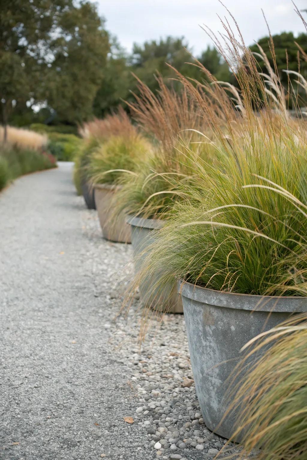 Decorative grasses give the garden movement and texture.
