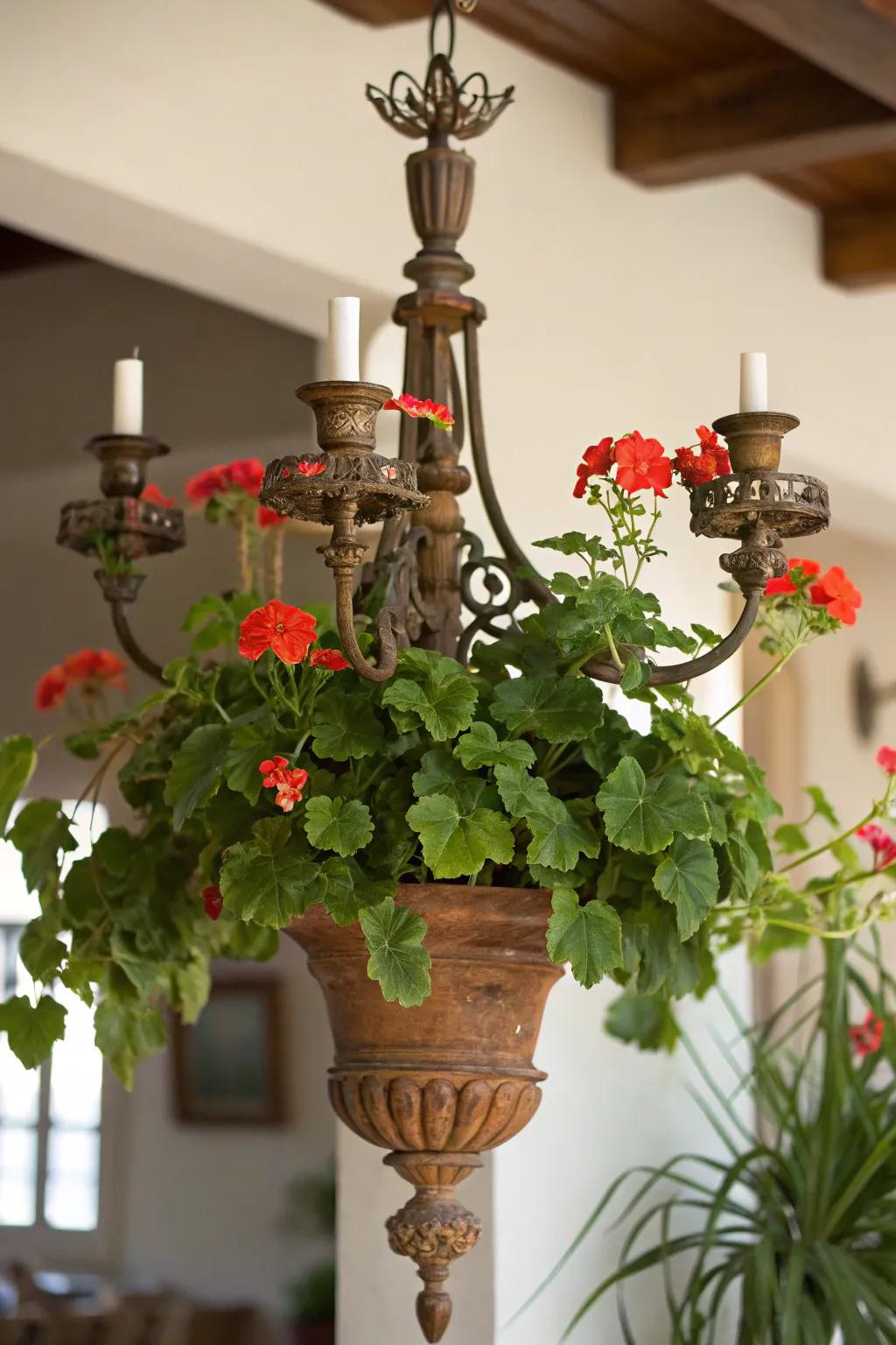 Elegance merges with ingenuity in this candelabra planter.