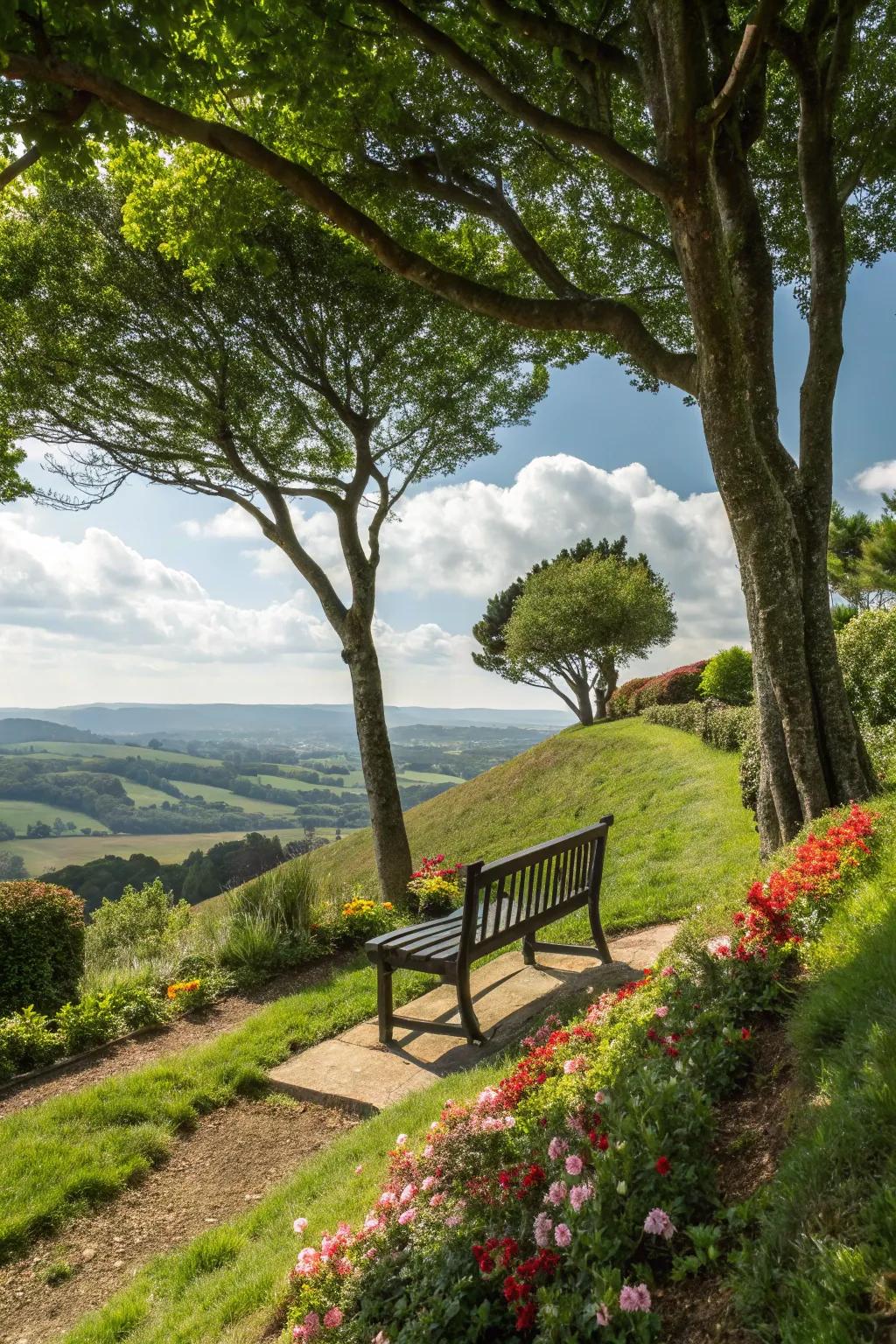 Useful zones like a comfortable seating spot enhance hillside gardens.