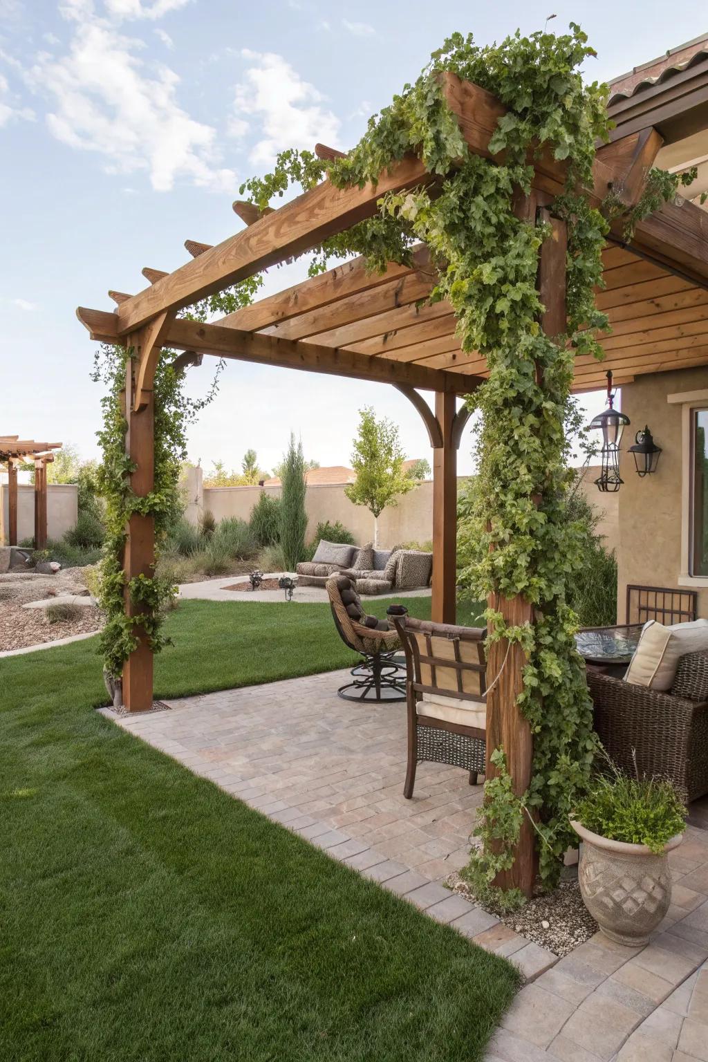 Fashionable pergola covered with climbing vines in a Las Vegas backyard.