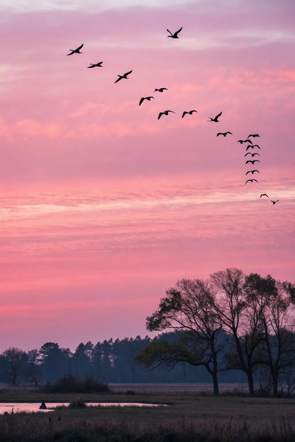 A dynamic painting of birds set against a pink sky.