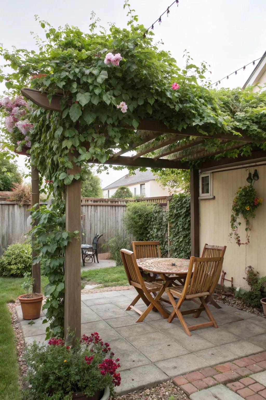 A pergola provides a shaded haven during the hottest part of the day.