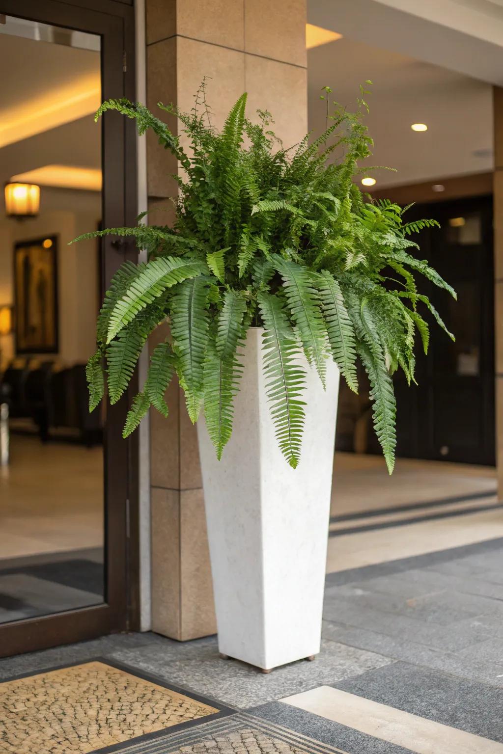 An independent statement piece can update any space.