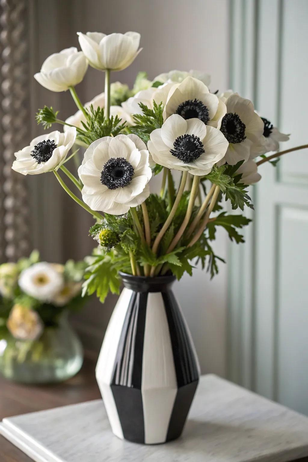 A stylish anemone arrangement with striking black and white accents.
