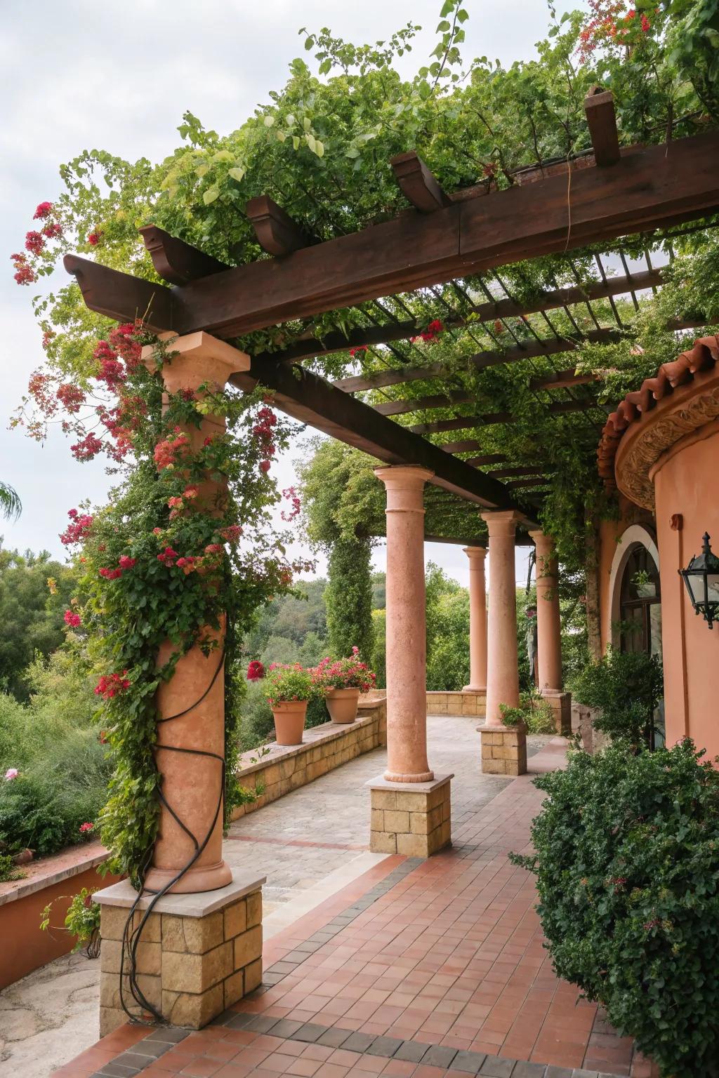 A Mediterranean-inspired arbor with vibrant foliage and inviting accents.