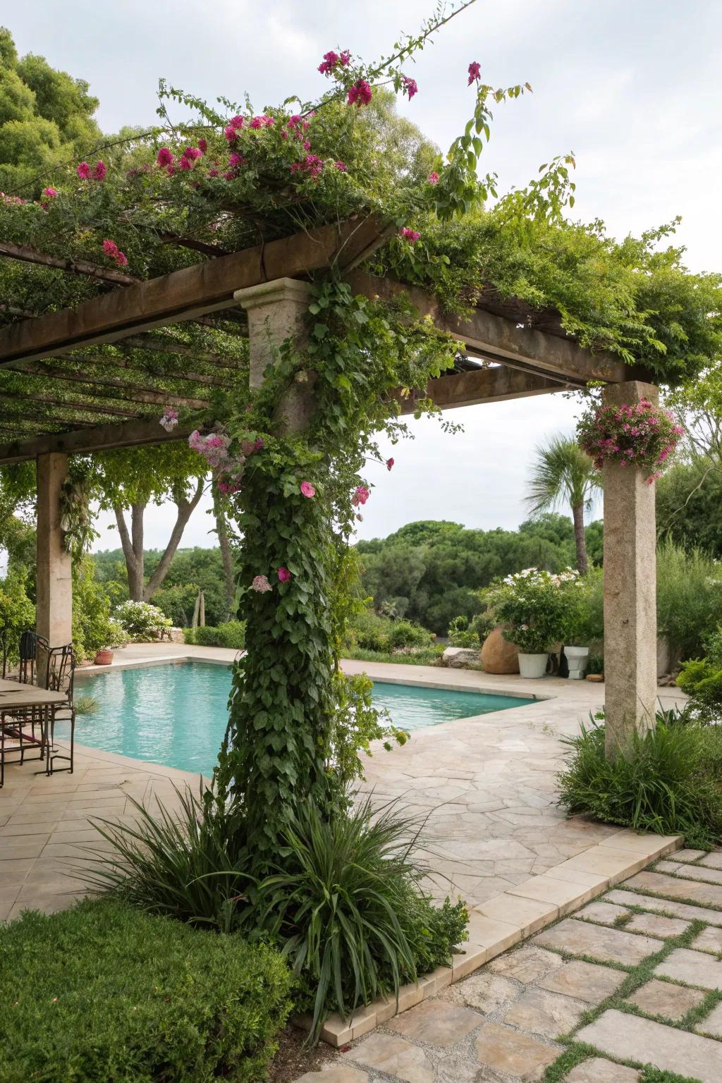 Greenery around a pergola provides a natural, peaceful getaway.