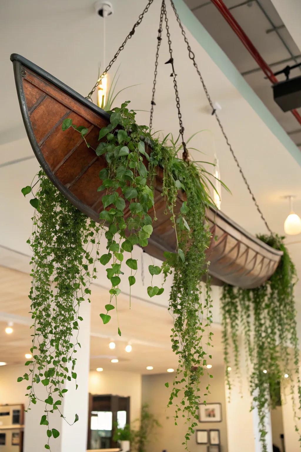 An indoor suspended canoe planter creates a floating green paradise.