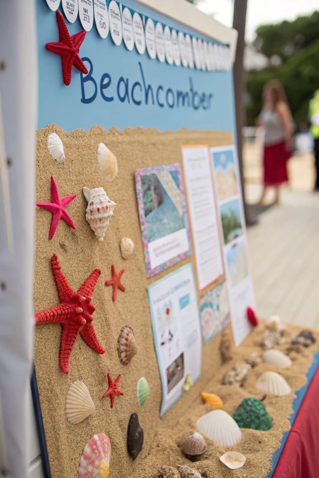 Seashore Finds bulletin board displaying seaside treasures.