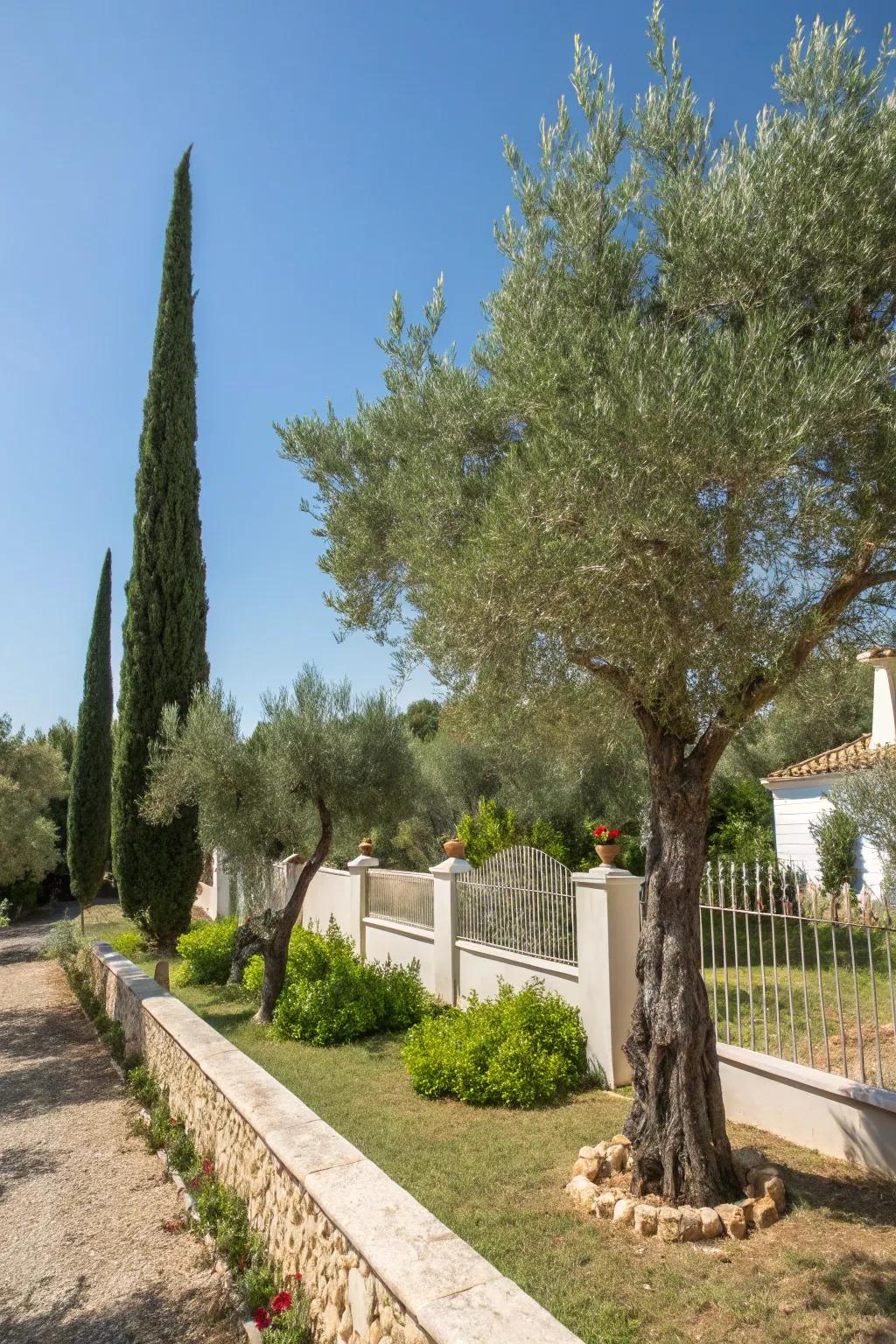 Fruit-bearing and cone-shaped trees add vertical interest and shade to this garden.