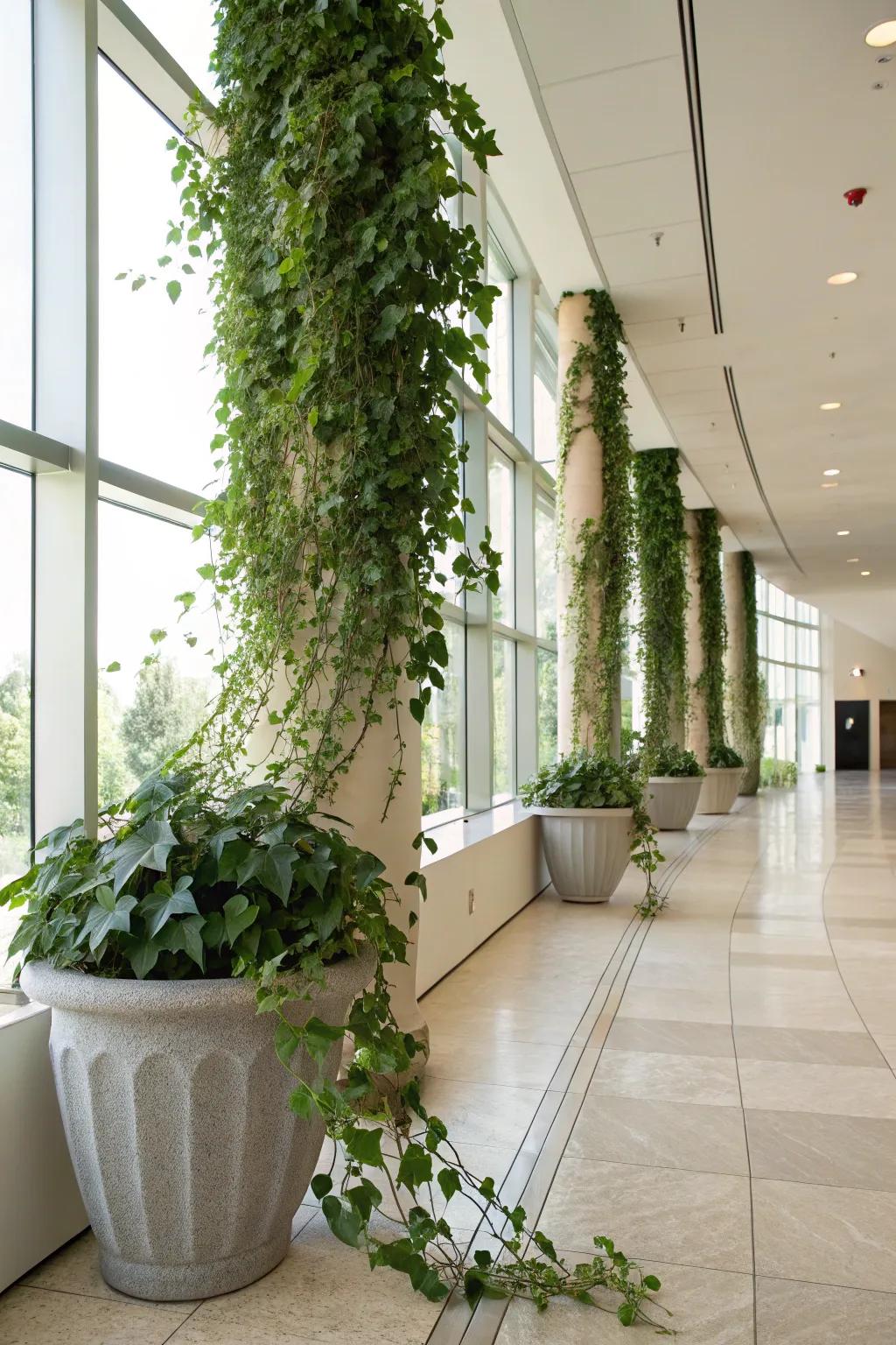 Accentuate vertical growth with trailing planters.