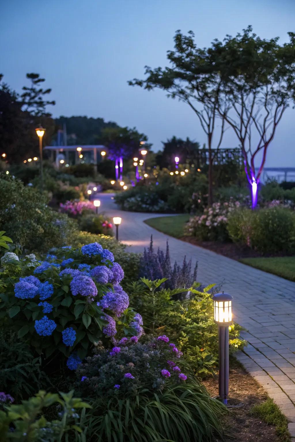 Colored lighting setting the ambiance in outdoor spaces.