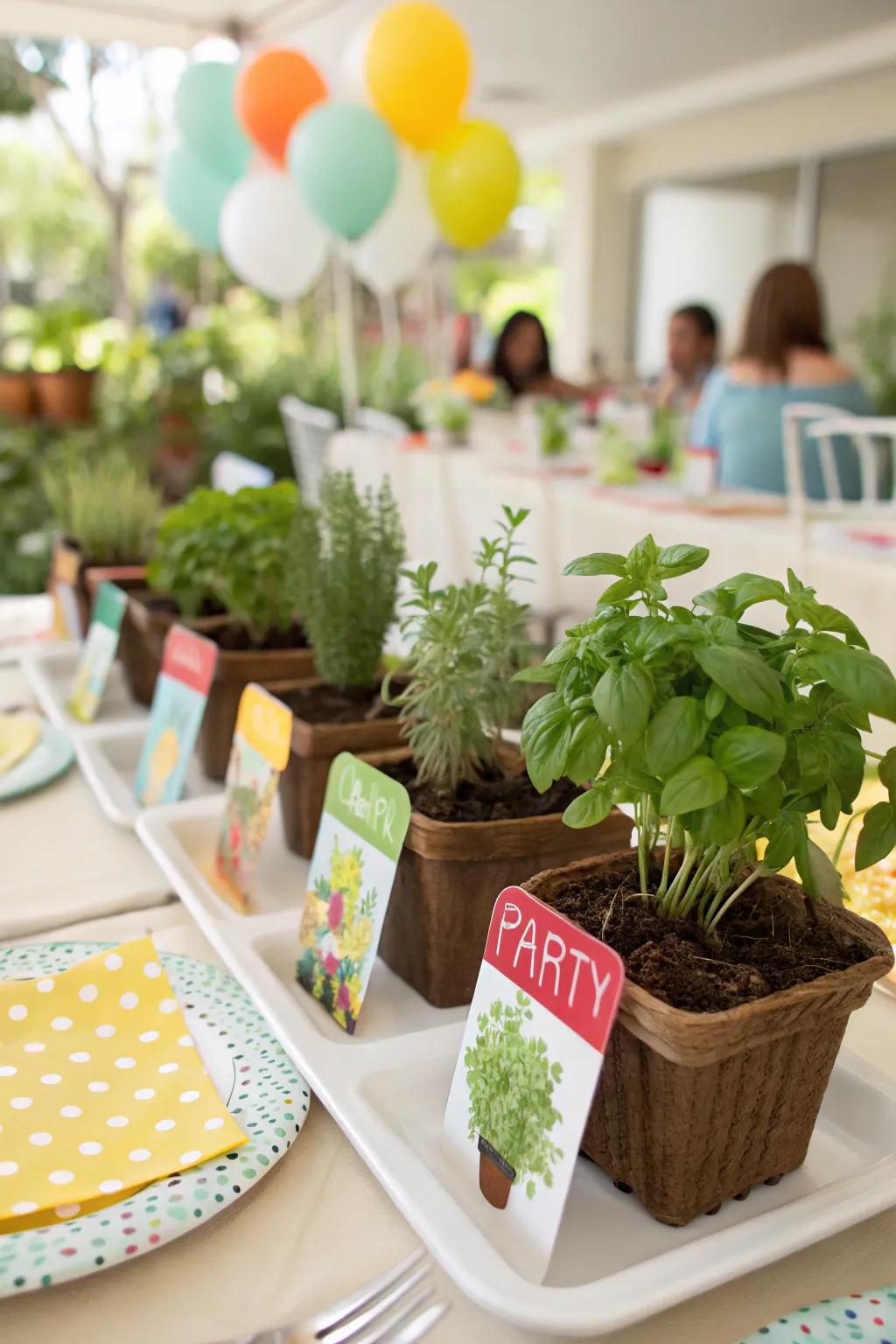 Engaging miniature herb horticulture sets utilized as party presents.