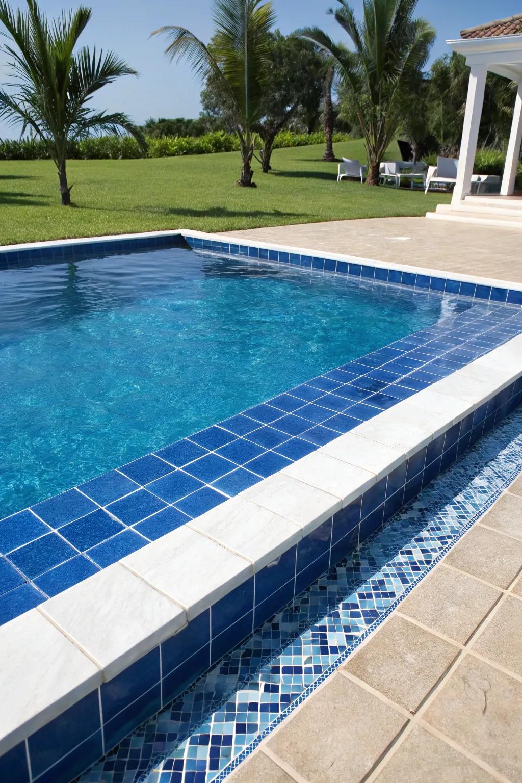 Contrasting colors in coping amplify the pool's visual allure.
