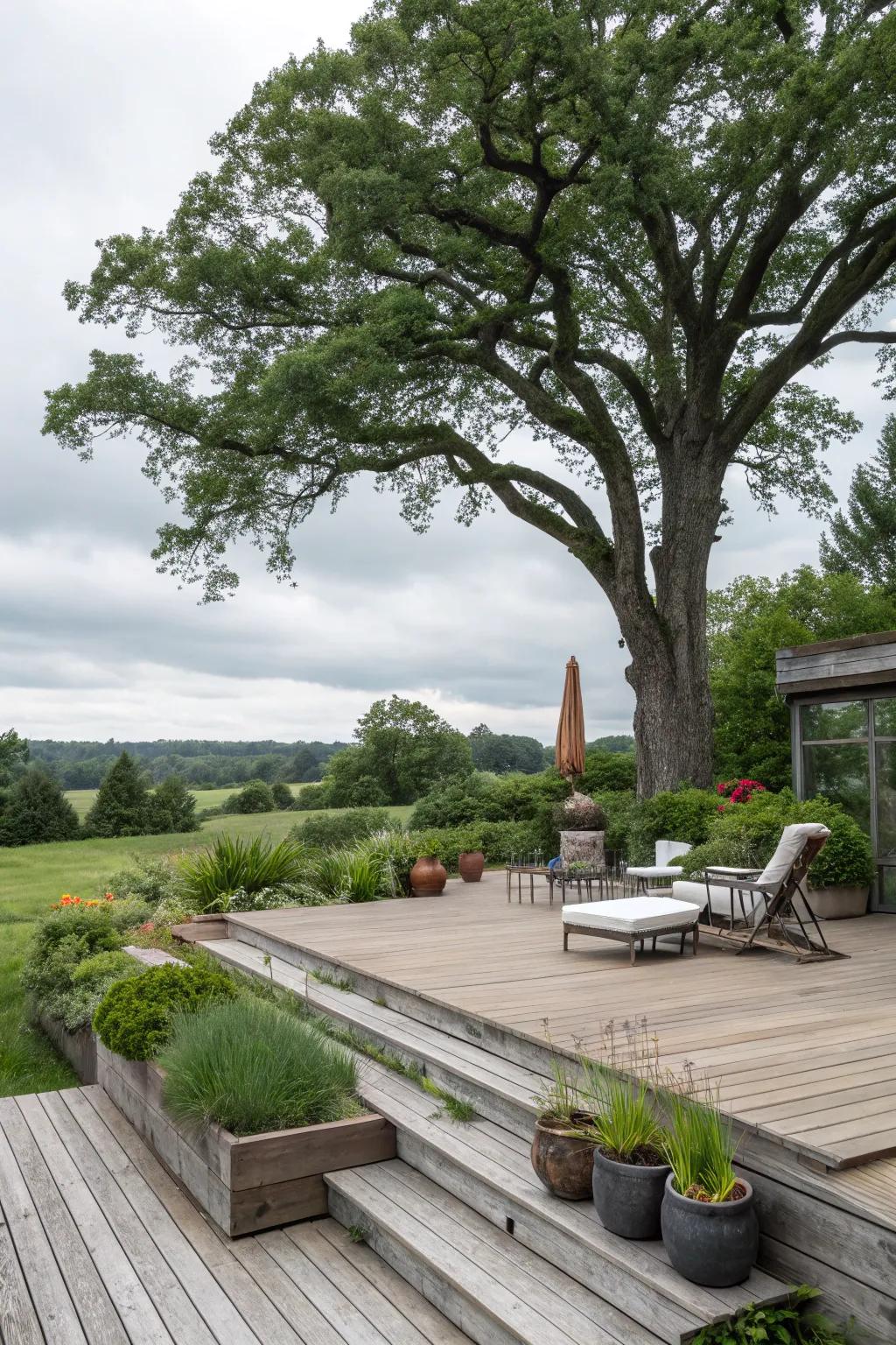 Incorporate nature into your deck's layout for a balanced aesthetic.