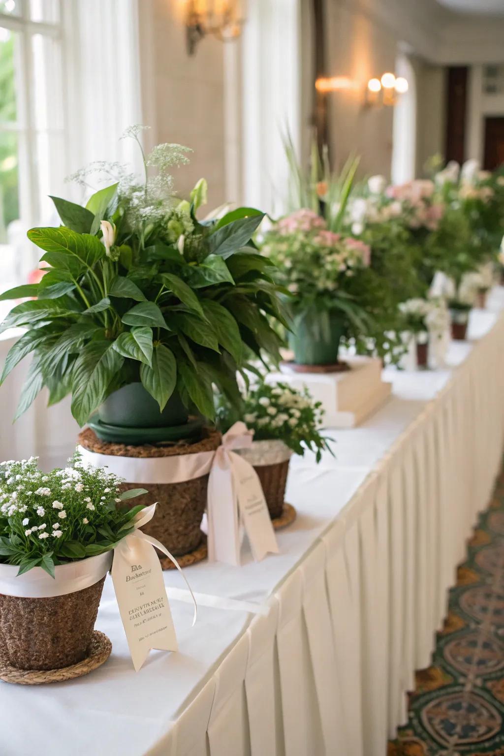 Boxed plants serve as beautiful decor and memorable guest favors.