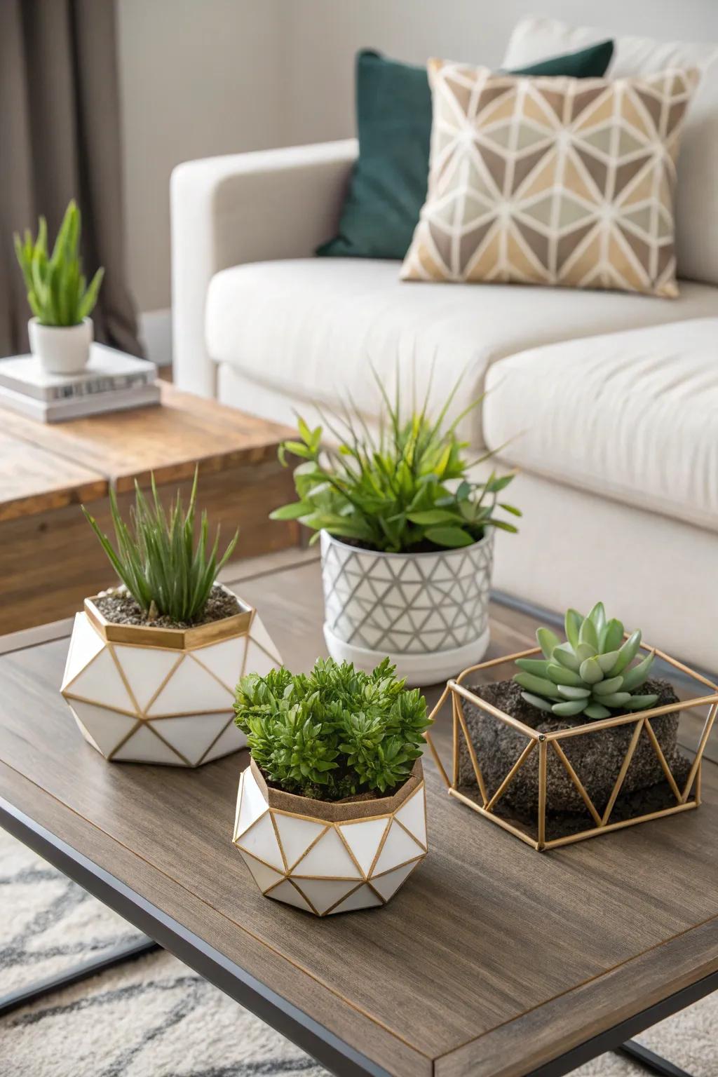 Edgy planters offer a contemporary flair to your coffee table decor.