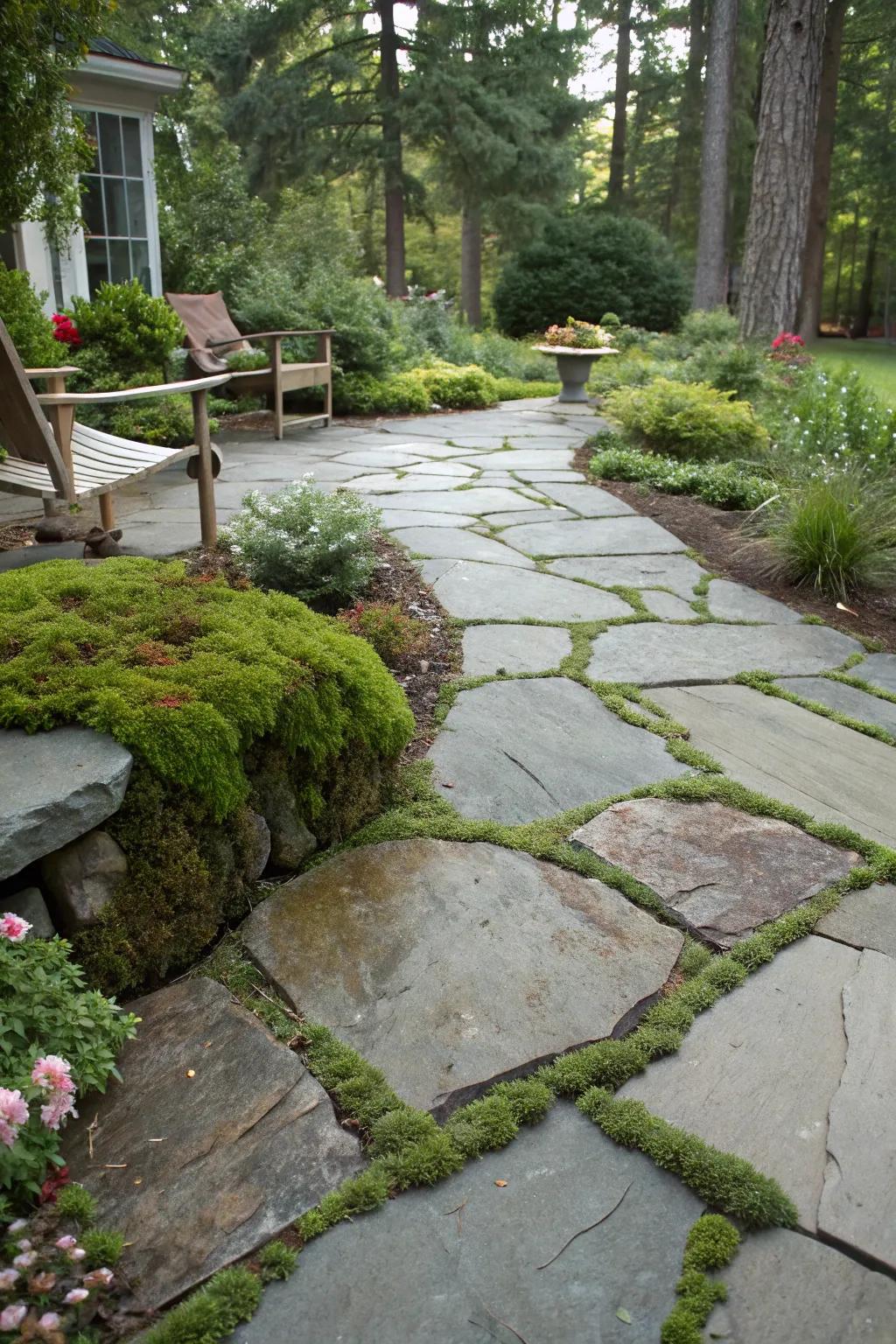 A flagstone patio accentuated by lush moss.