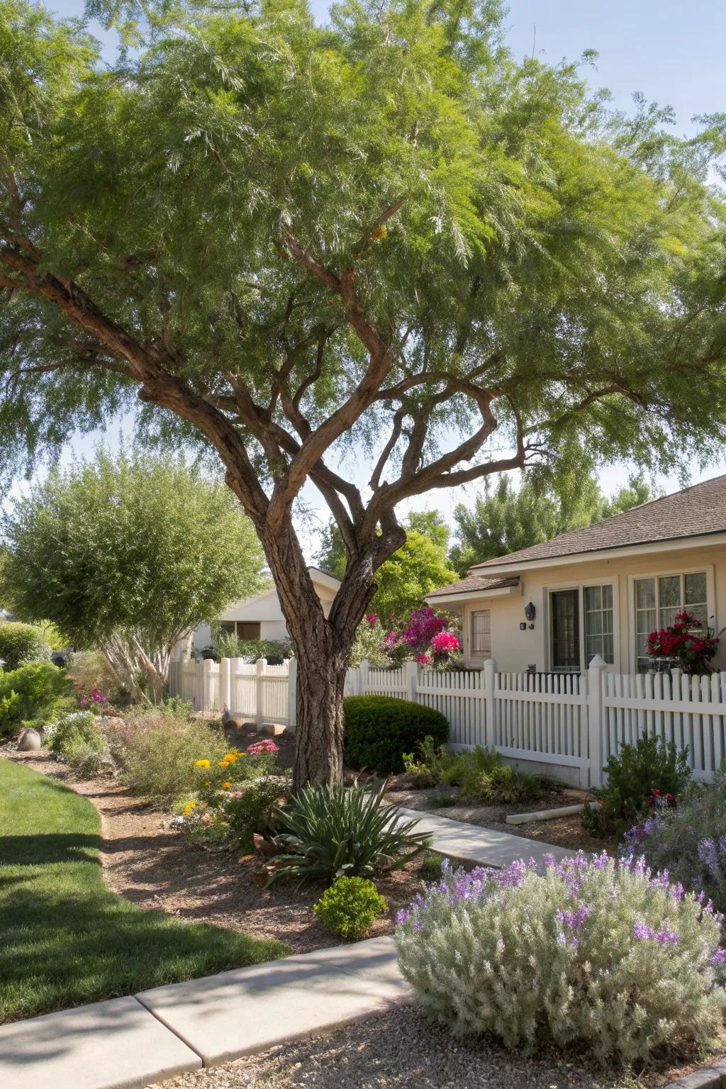 Dryness-resistant trees offer shade and sustainability.