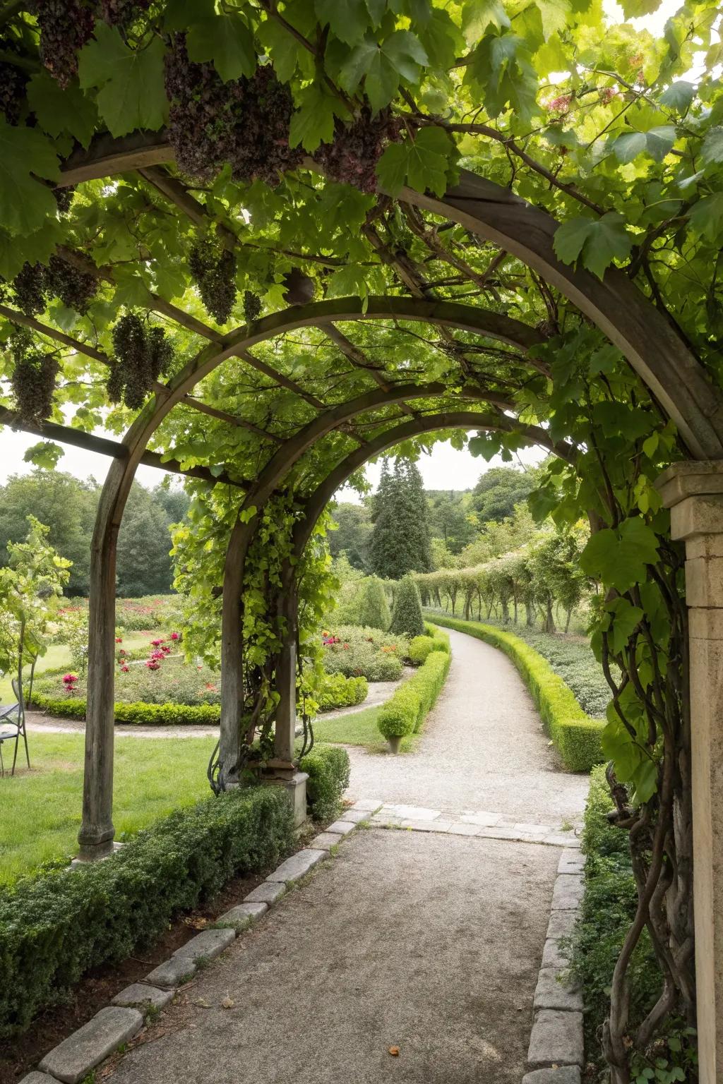 An elegant arched support that invites you into a lush garden space.