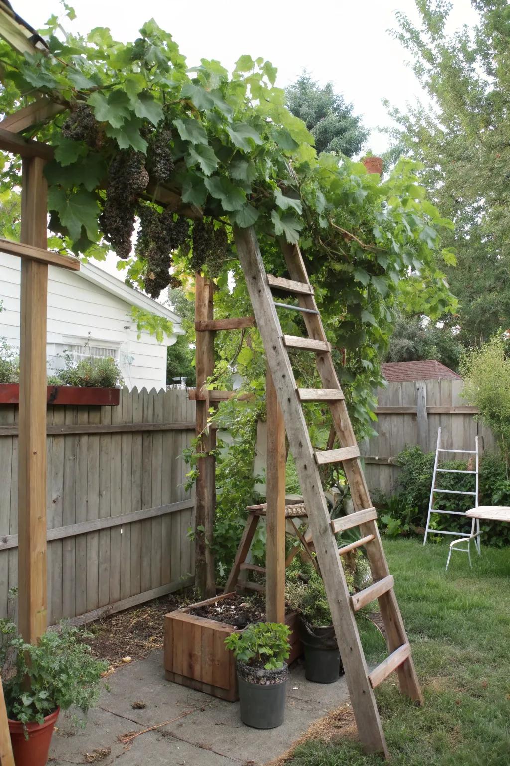 Using repurposed materials creates unique and sustainable trellis designs.