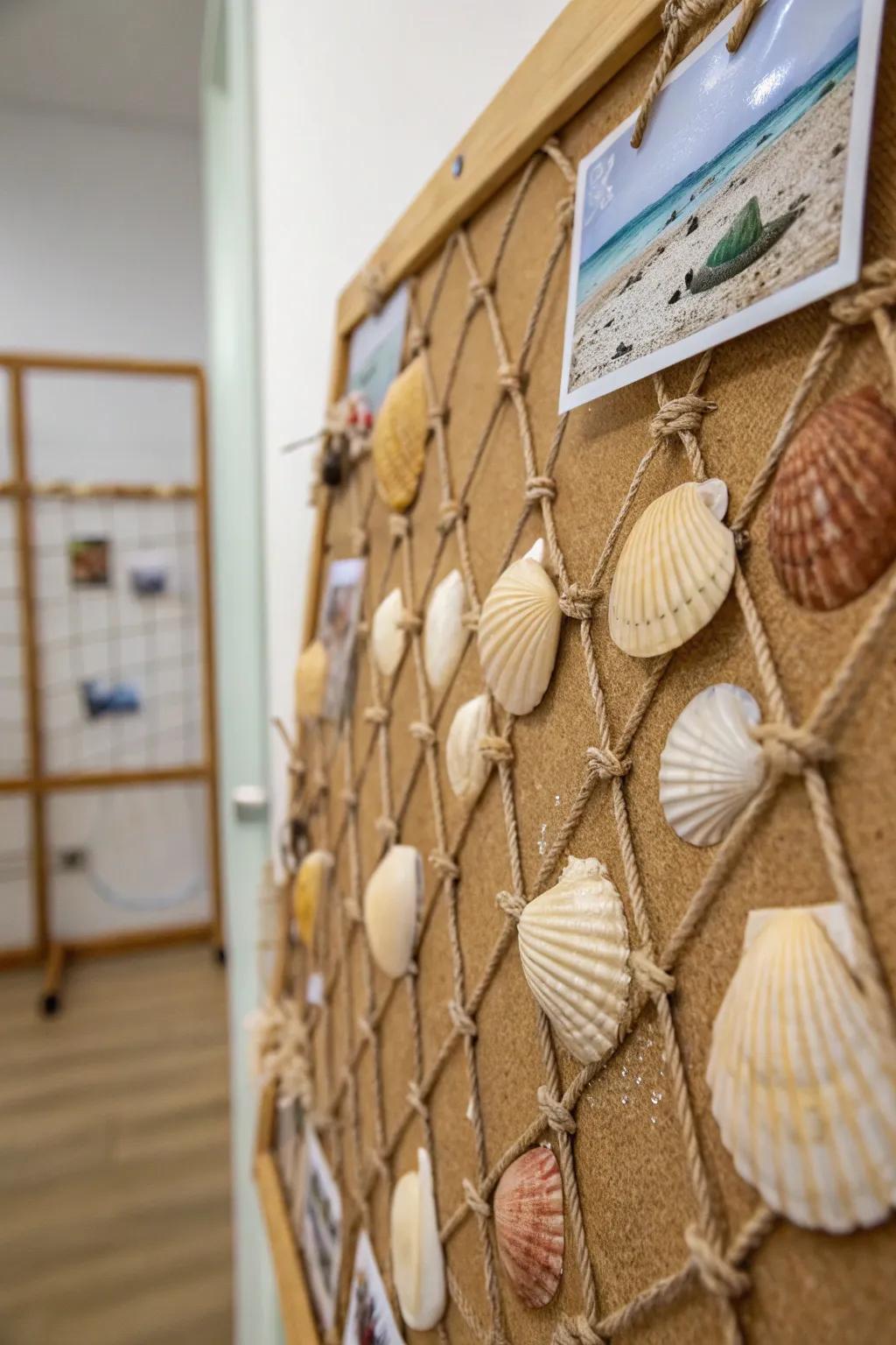 Capture the essence of the shore with a seashell showcase.
