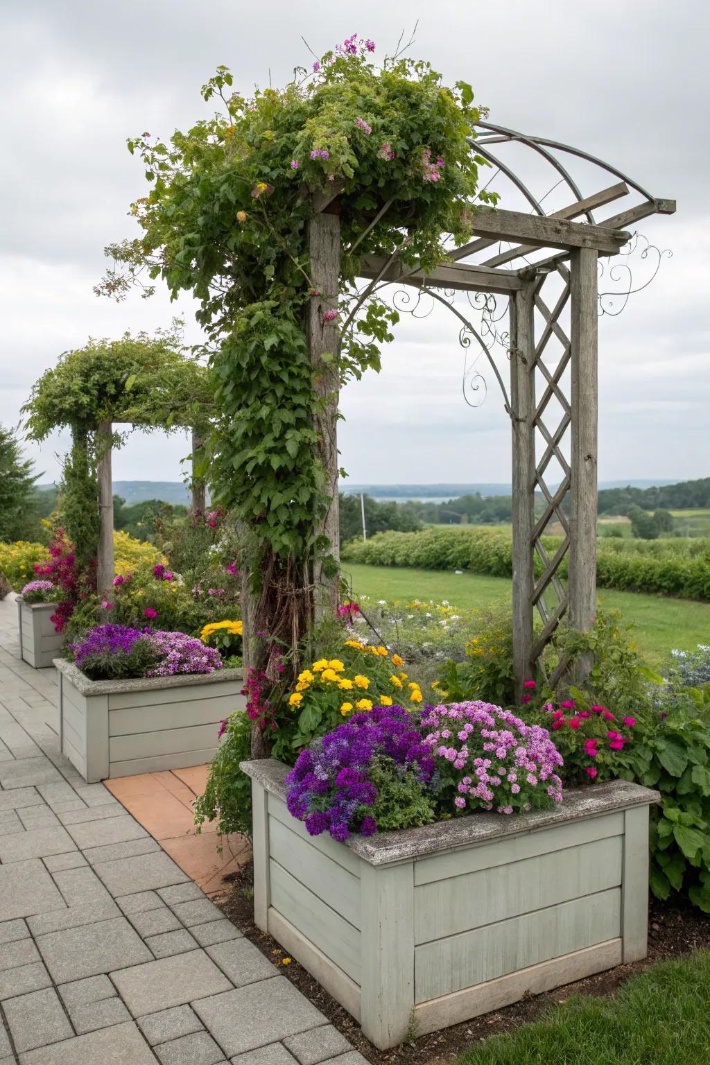 A lively arbor with beautiful planter boxes brimming with flowers.