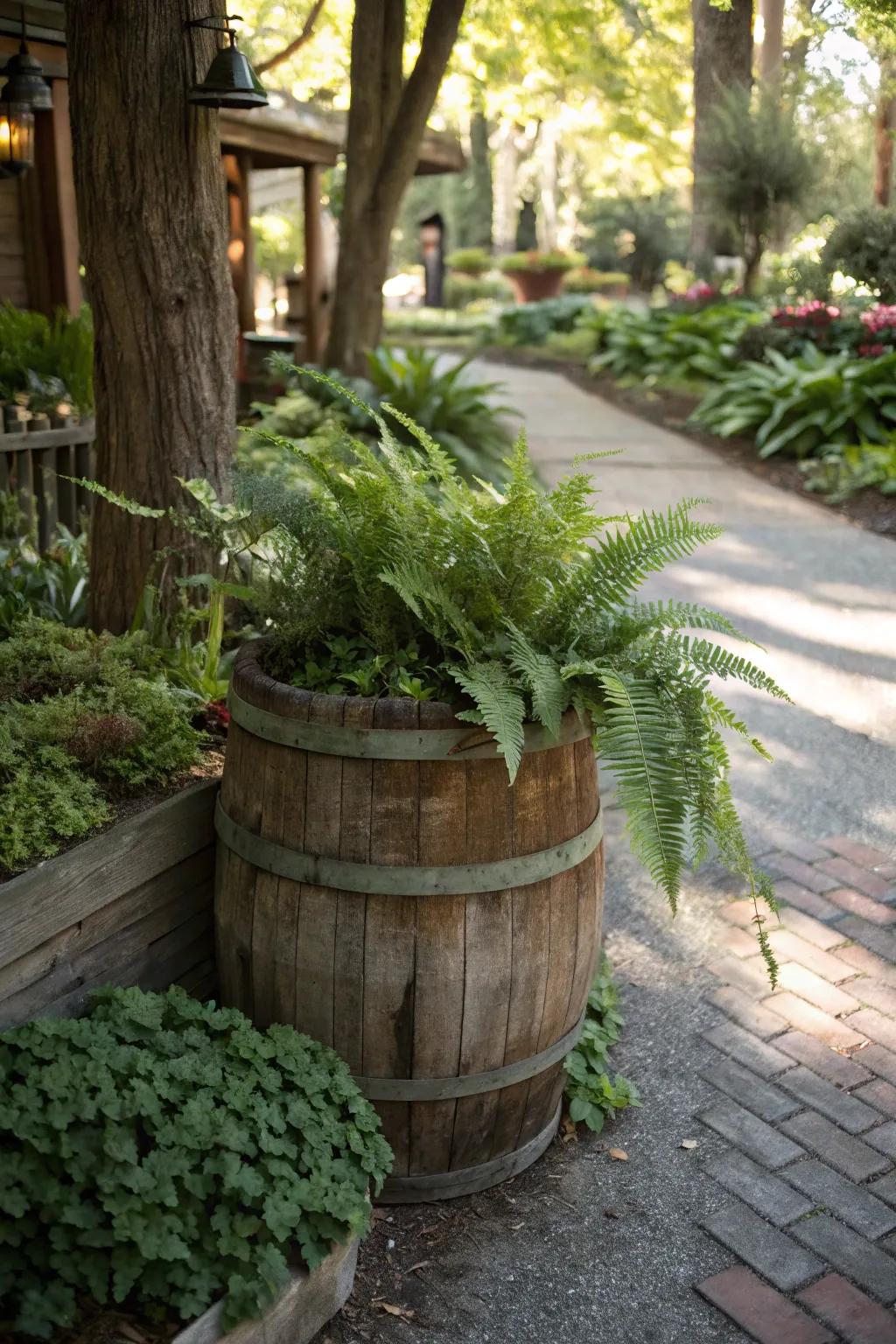 Textured Green Lace gracefully adorning a whiskey barrel.
