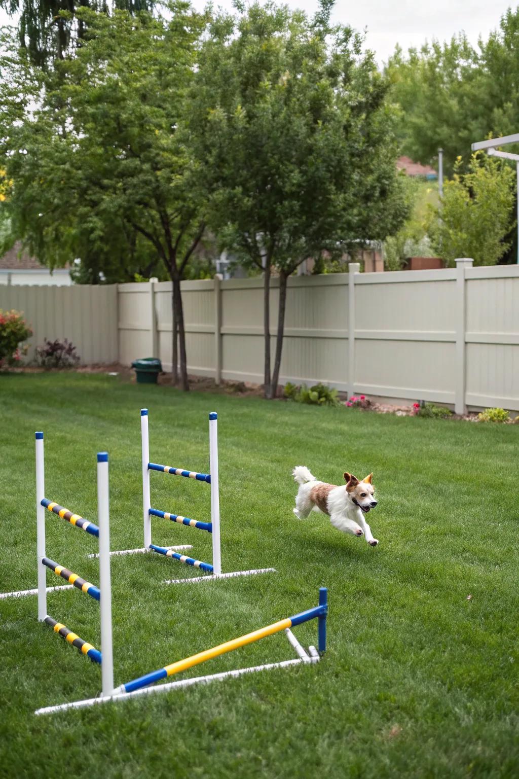 Adaptable hurdles provide endless amusement and exercise.